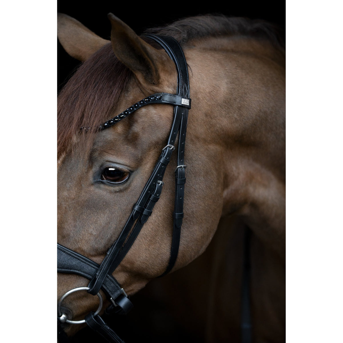 HorseGuard Cryll 24.2 träns med flash och pullback