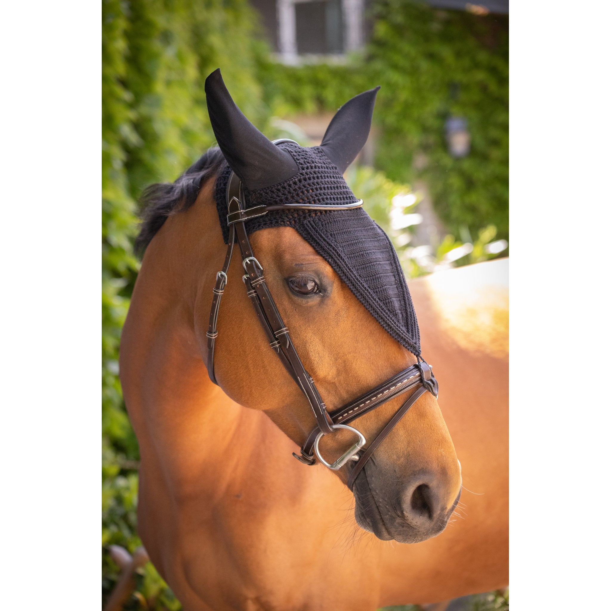 PADDOCK Pro coton luva lång