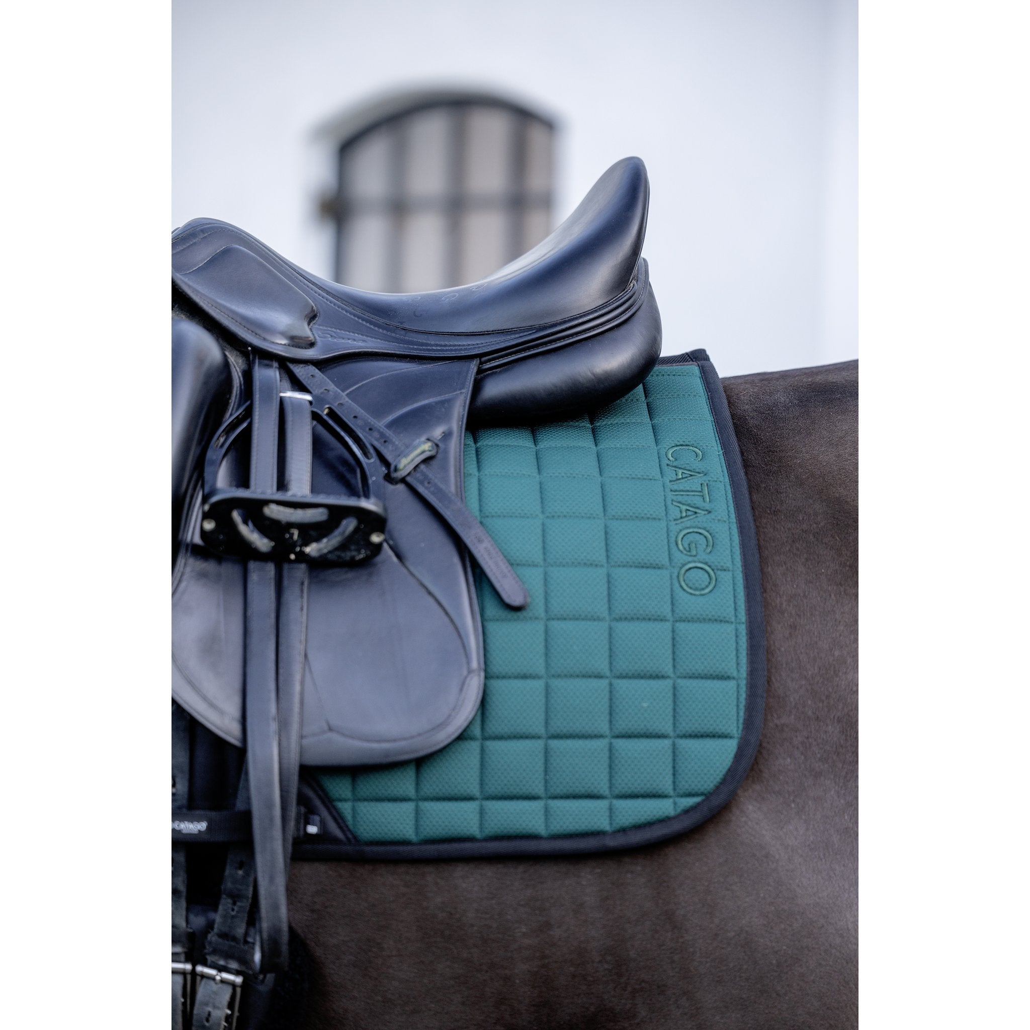 CATAGO FIR-Tech schabrak dressyr