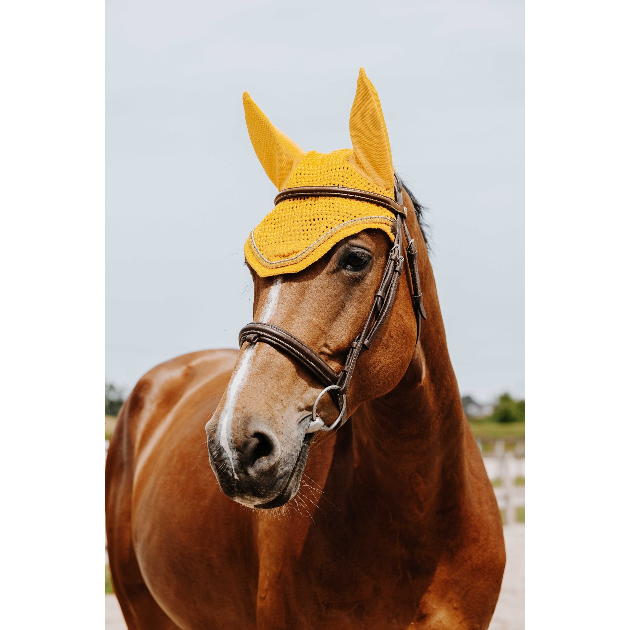 Equithème Hexalight Luva