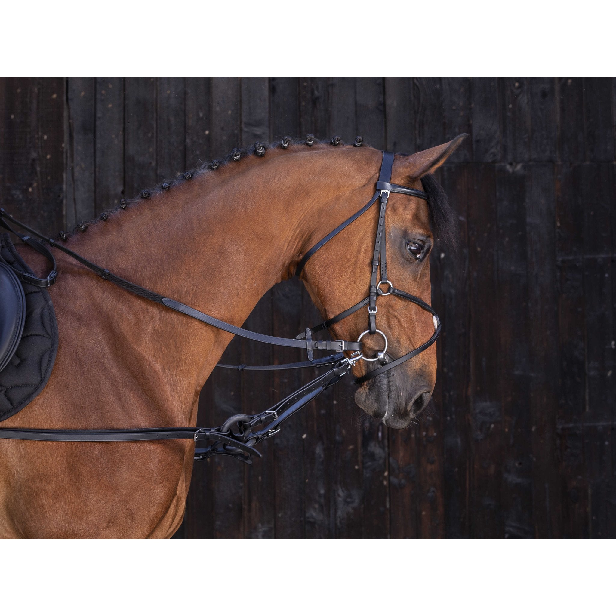 RIDING WORLD Inspänningstyglar med gummiringar