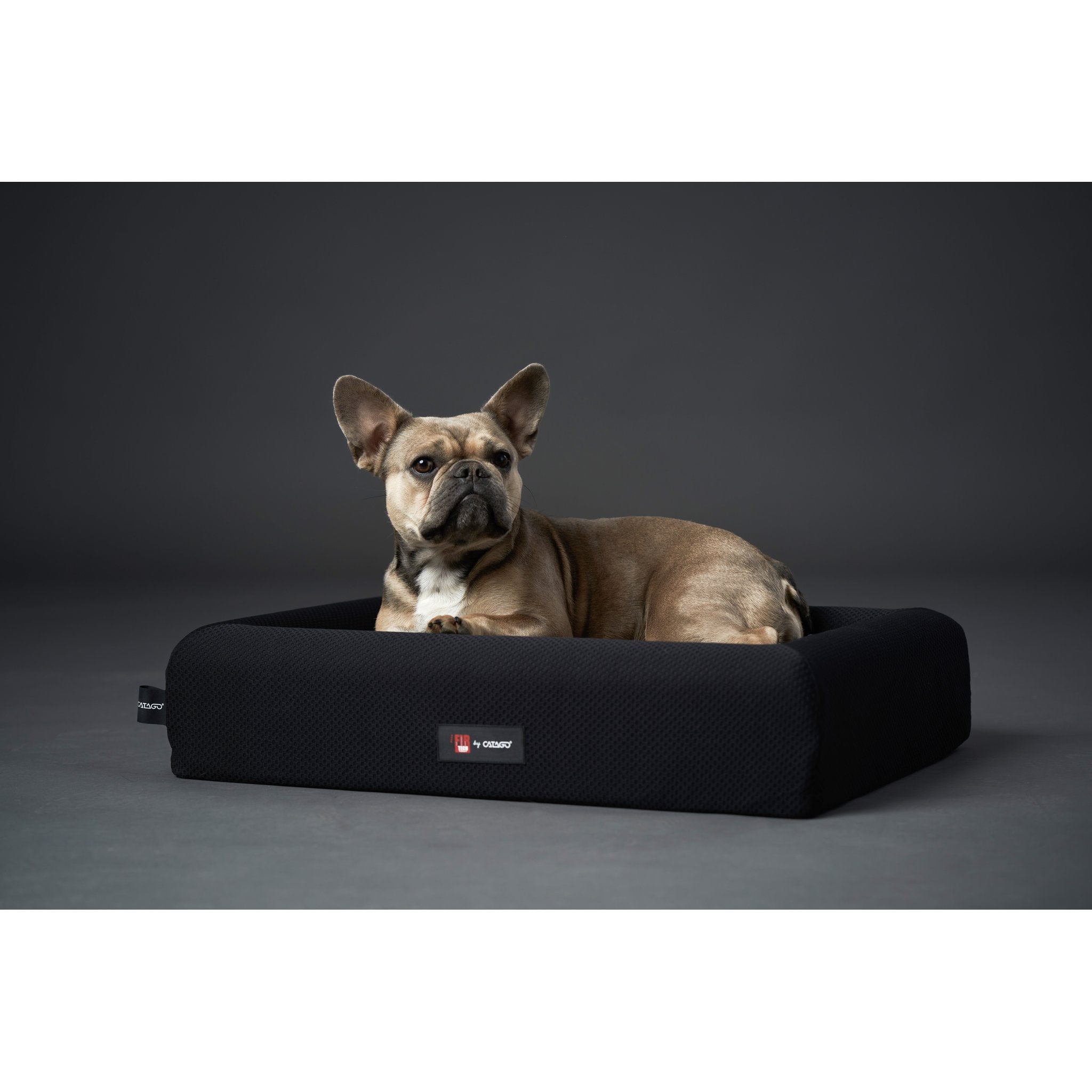 CATAGO FIR-TECH dog basket