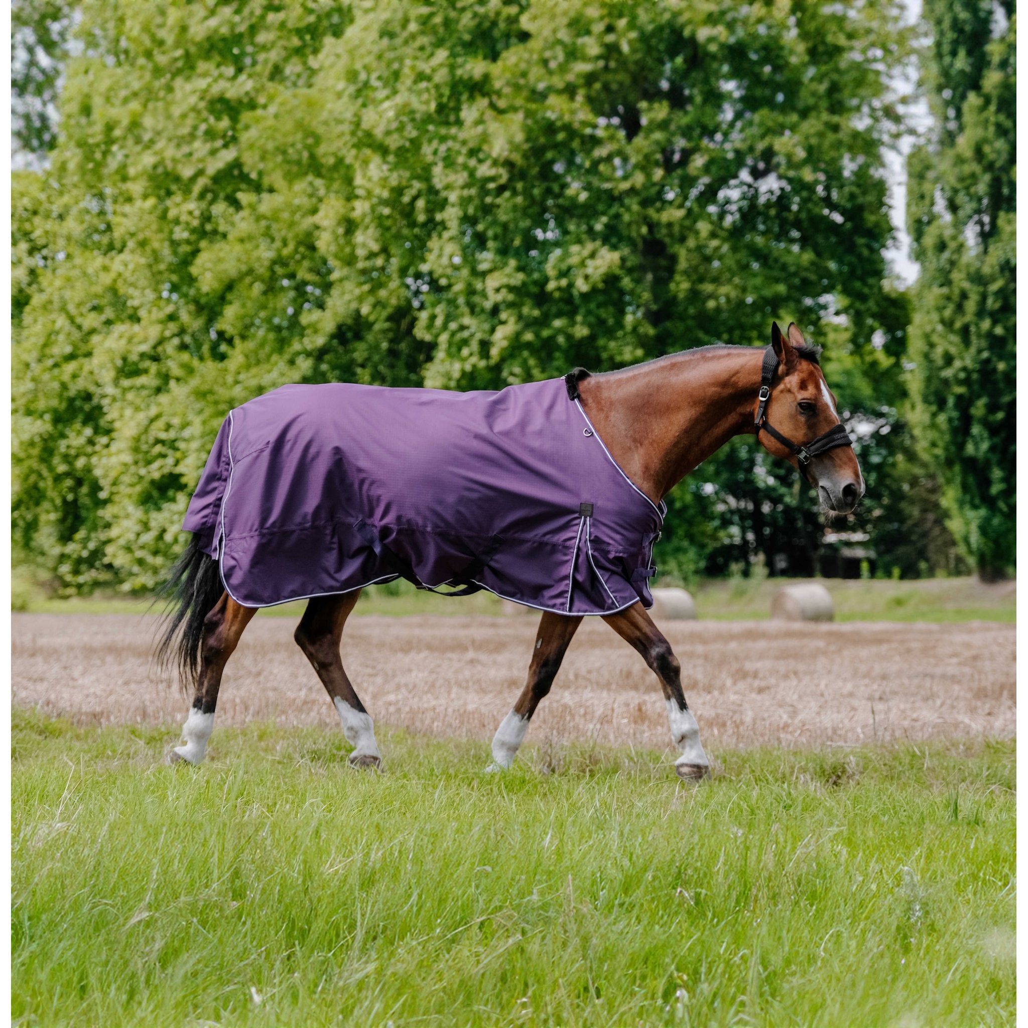Equithème TYREX Aisance 600D Turnout täcke 300 g