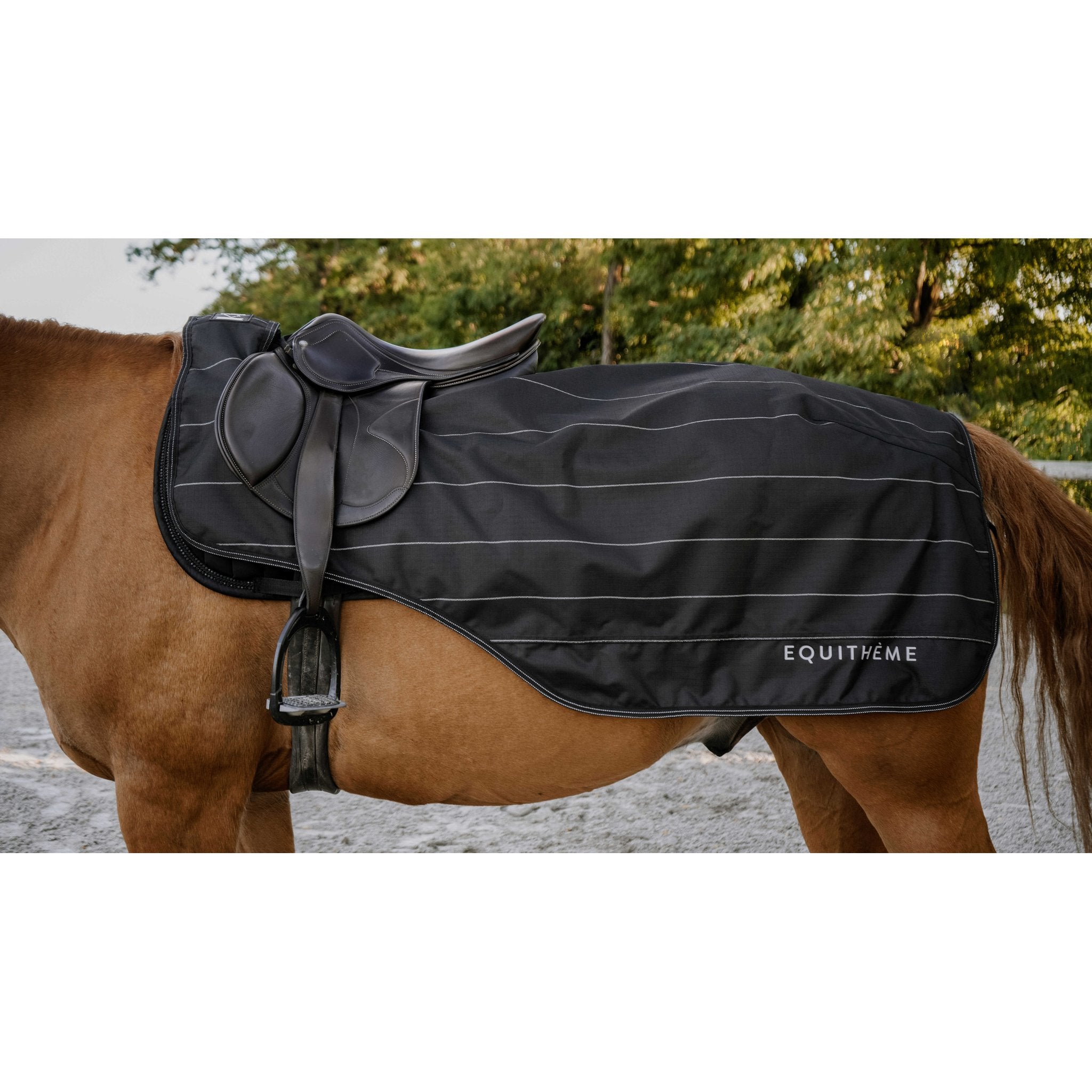 Equitheme TYREX Lumin 600D Skrittäcke