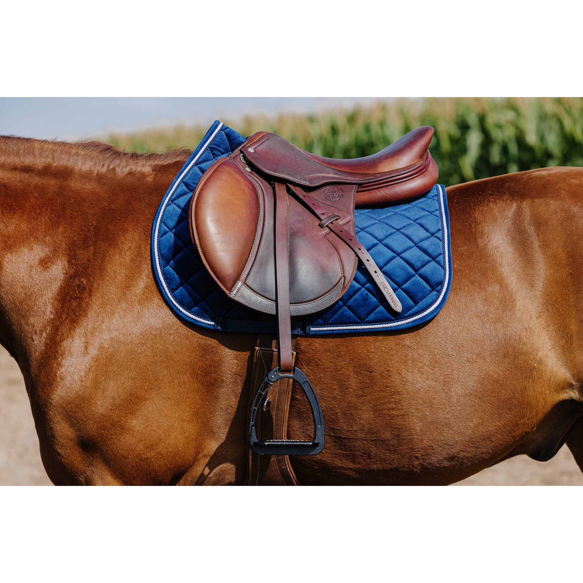 RIDING WORLD Velours Hoppschabrak