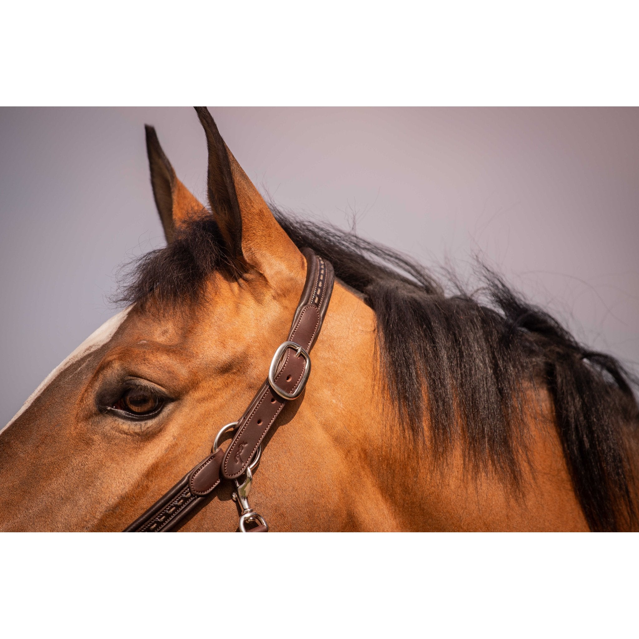 Penelope Harmonie lädergrimma