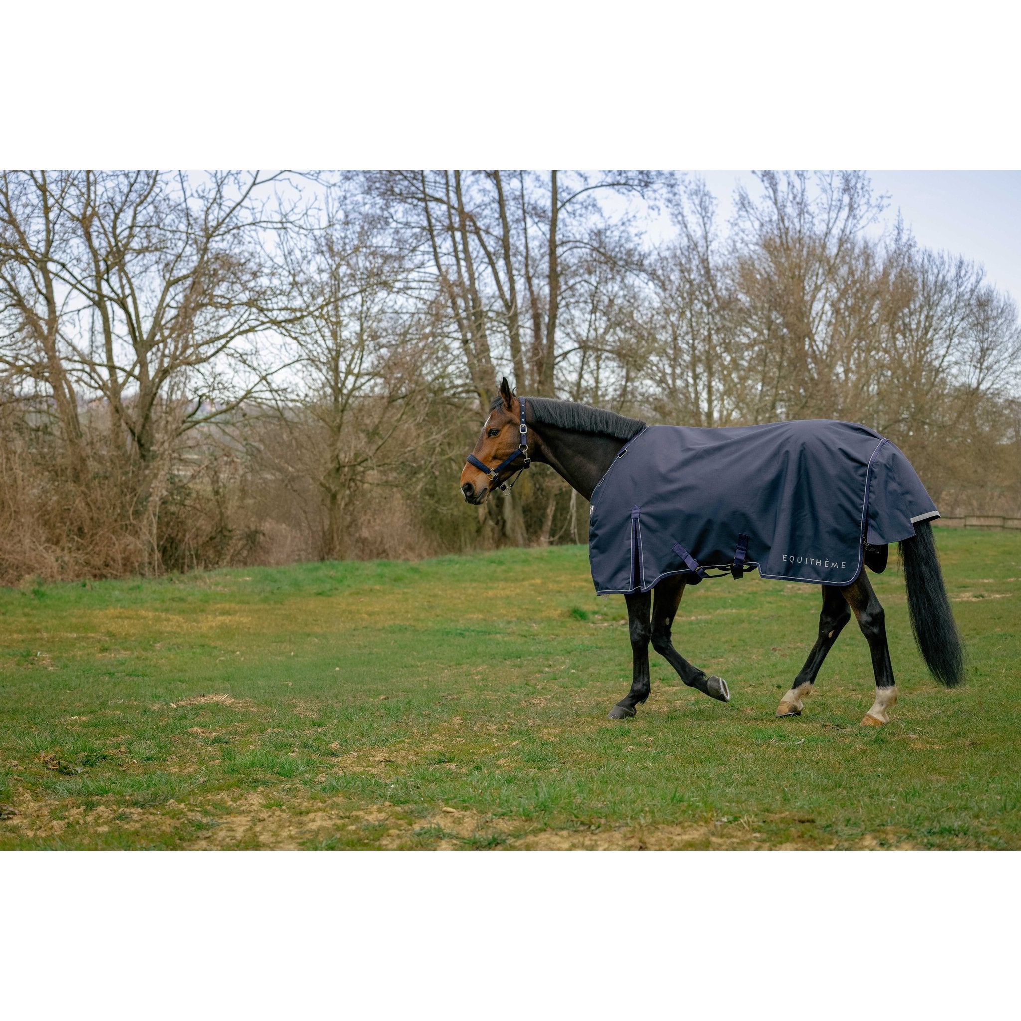 Equitheme Anatomic 1200D Utetäcke 200g
