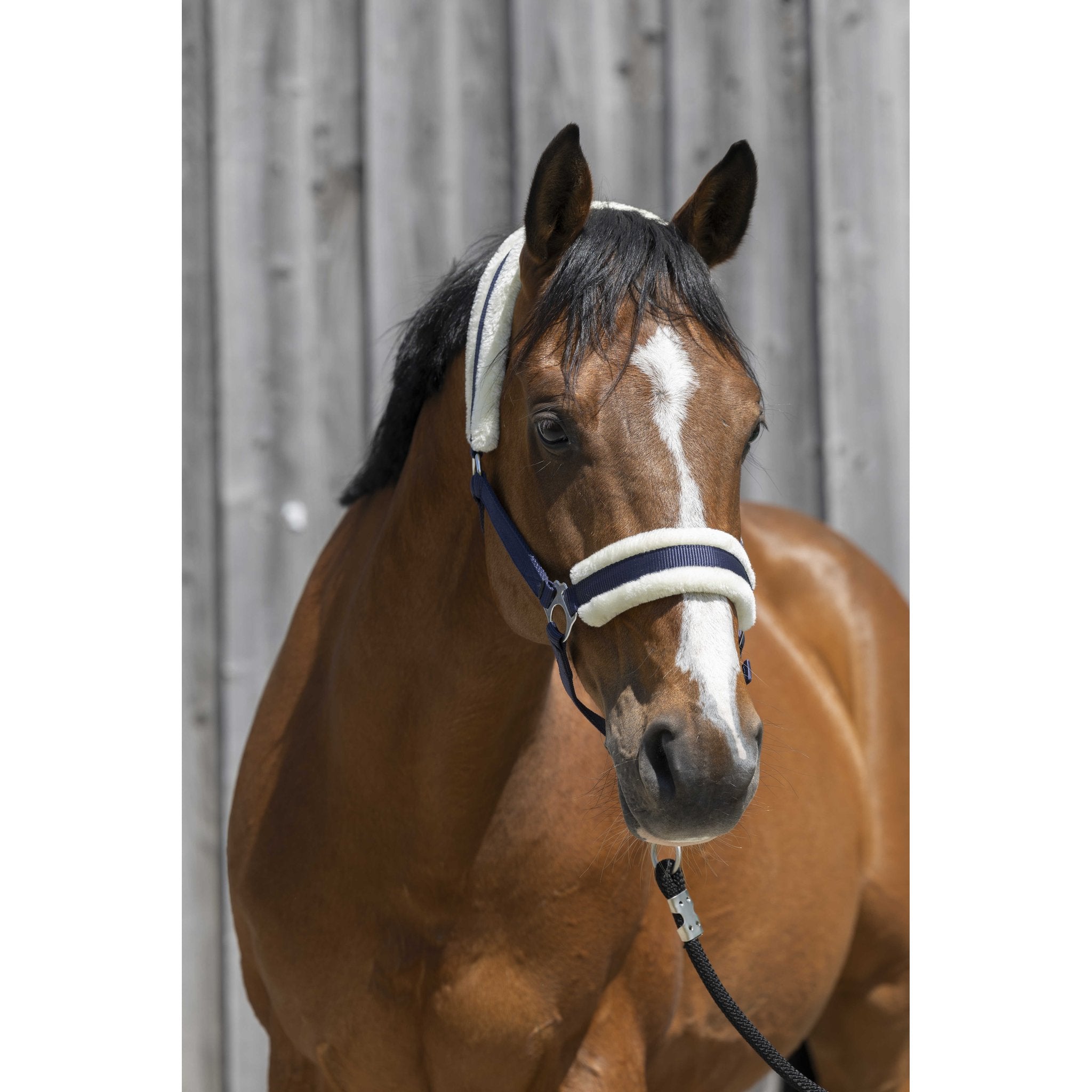 Riding World Grimma med syntetiskt fårskinn