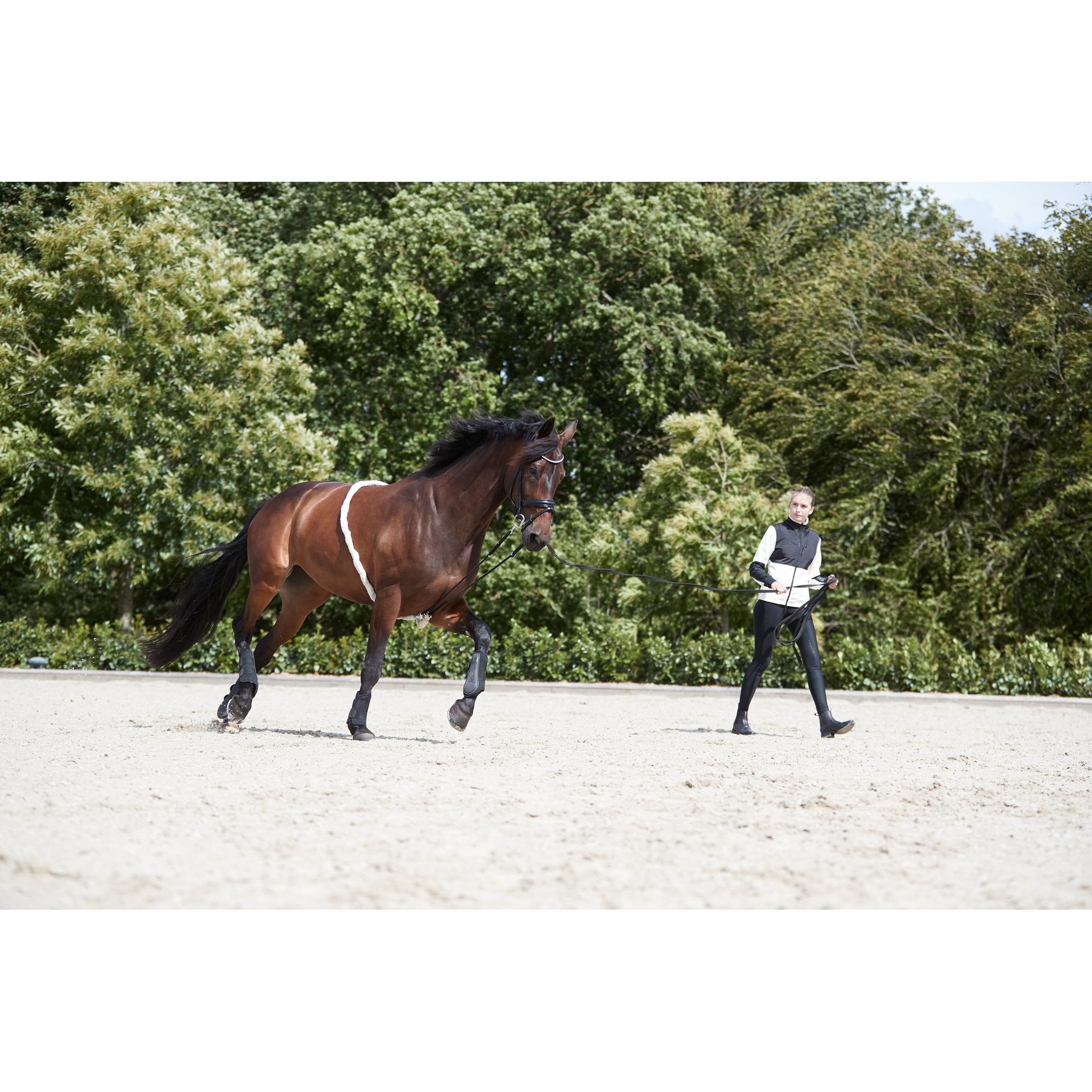 HorseGuard Soft longeringshjälp