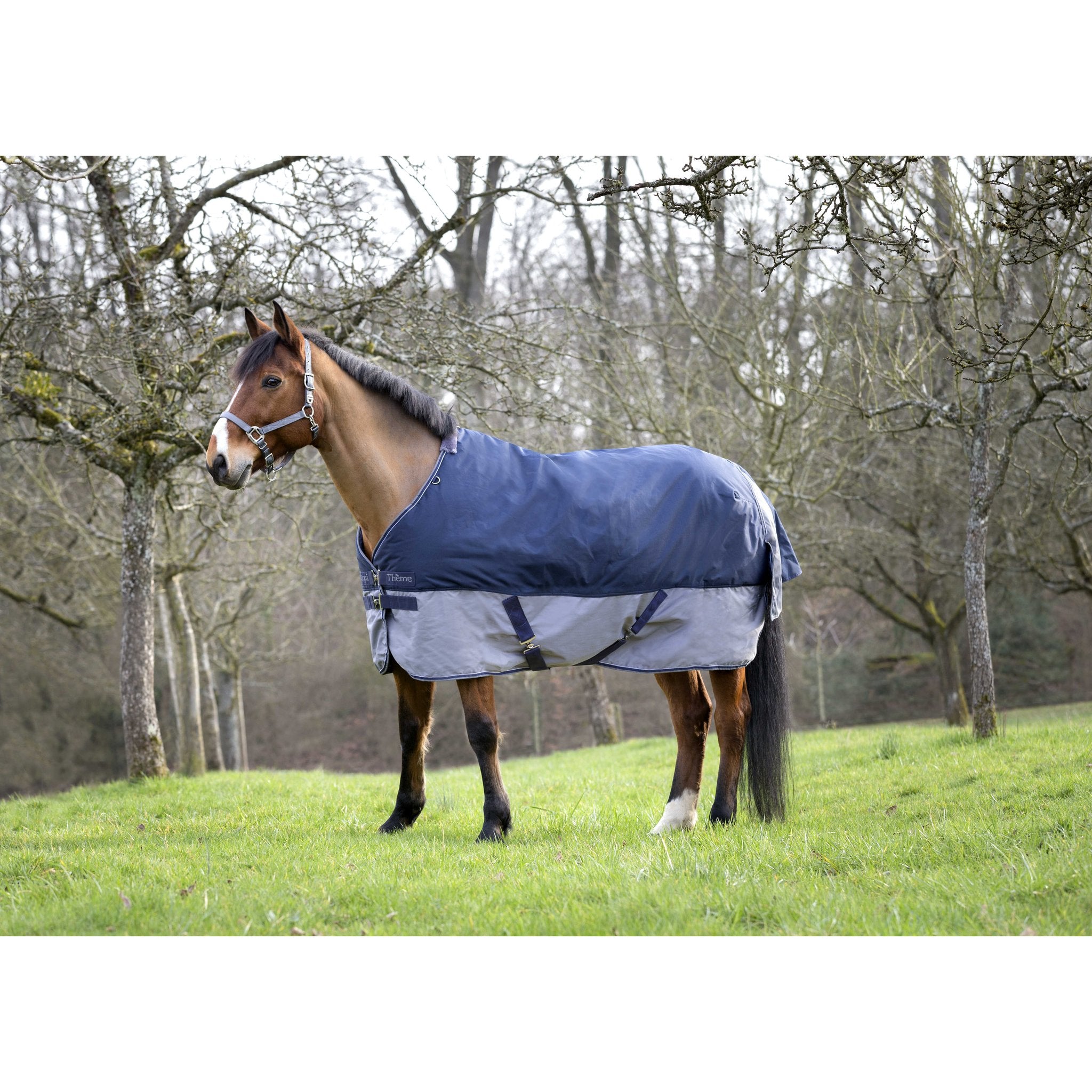 Equithème TYREX 600D Turnout täcke 450 g