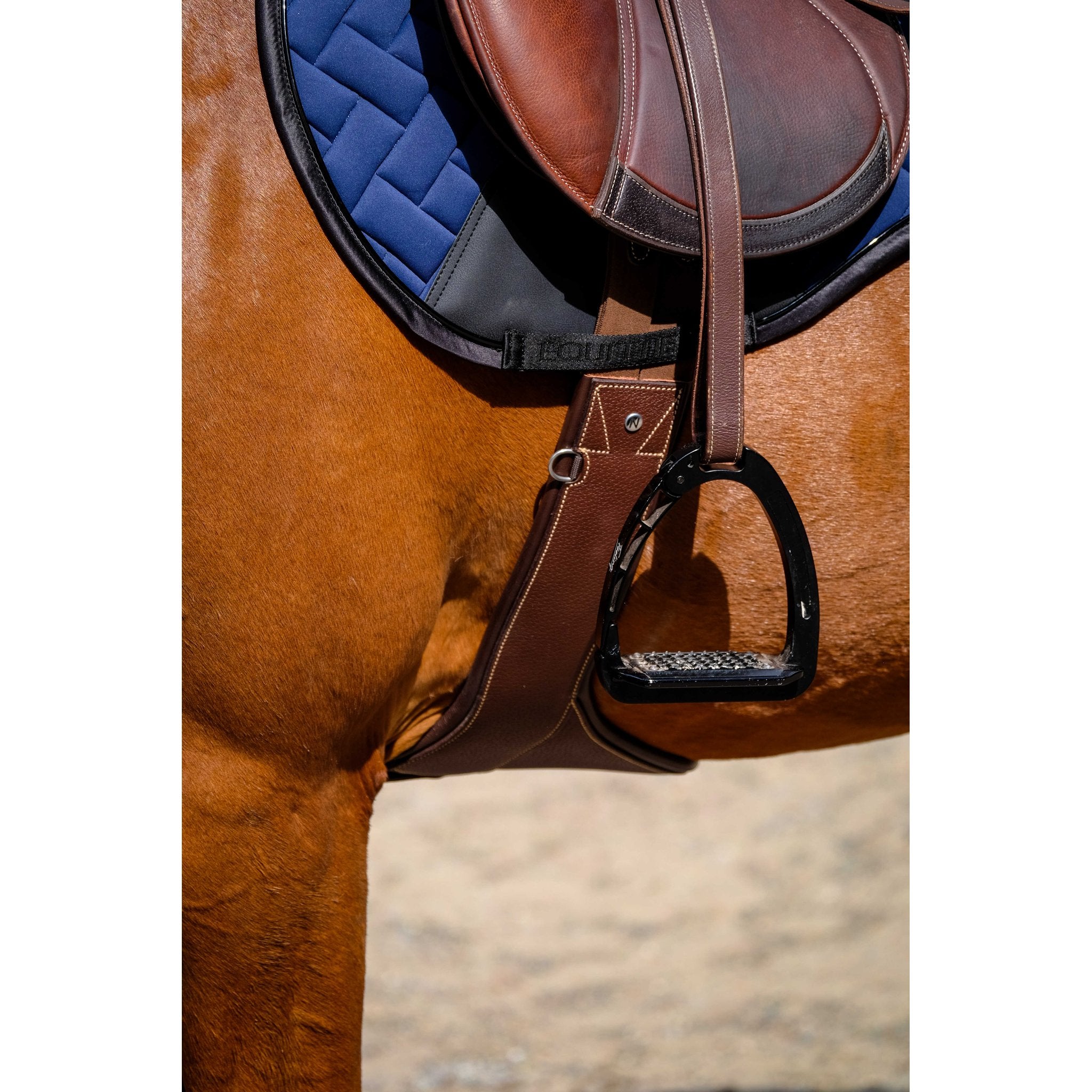 Equithème Impulsion Schabrak