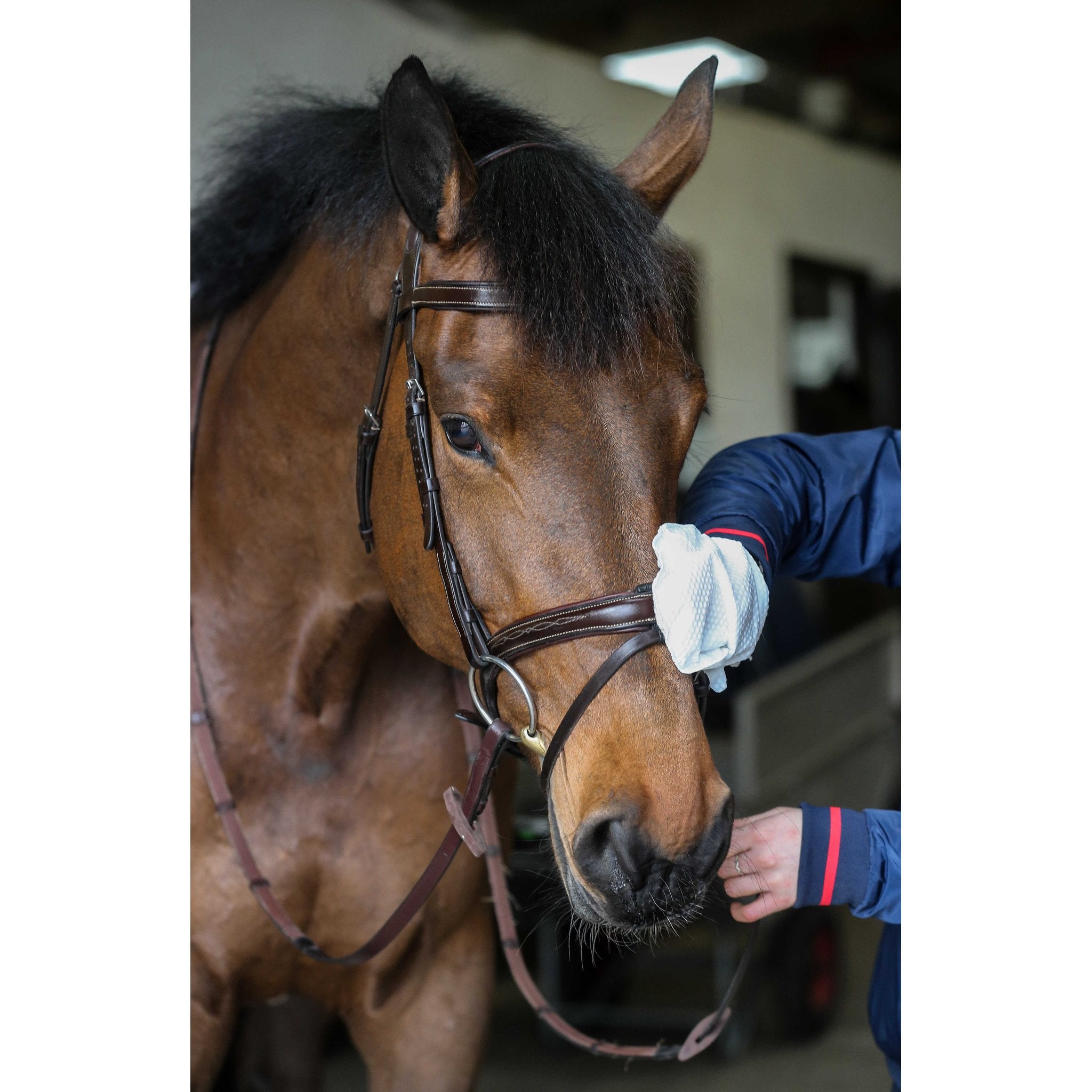 CARR & DAY & MARTIN Belvoir Cleaning Gloves