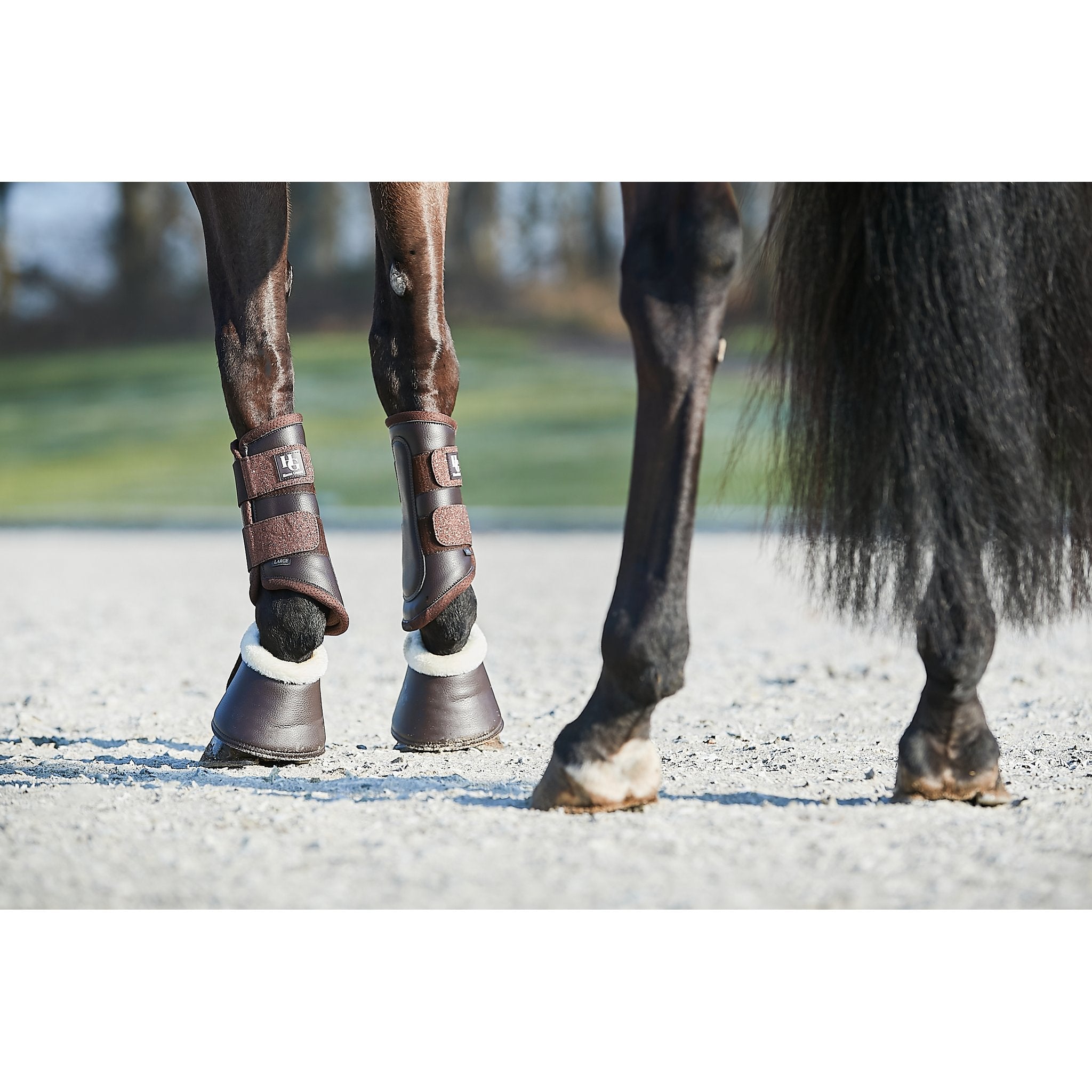 HorseGuard Lux dressyrstrykkappor