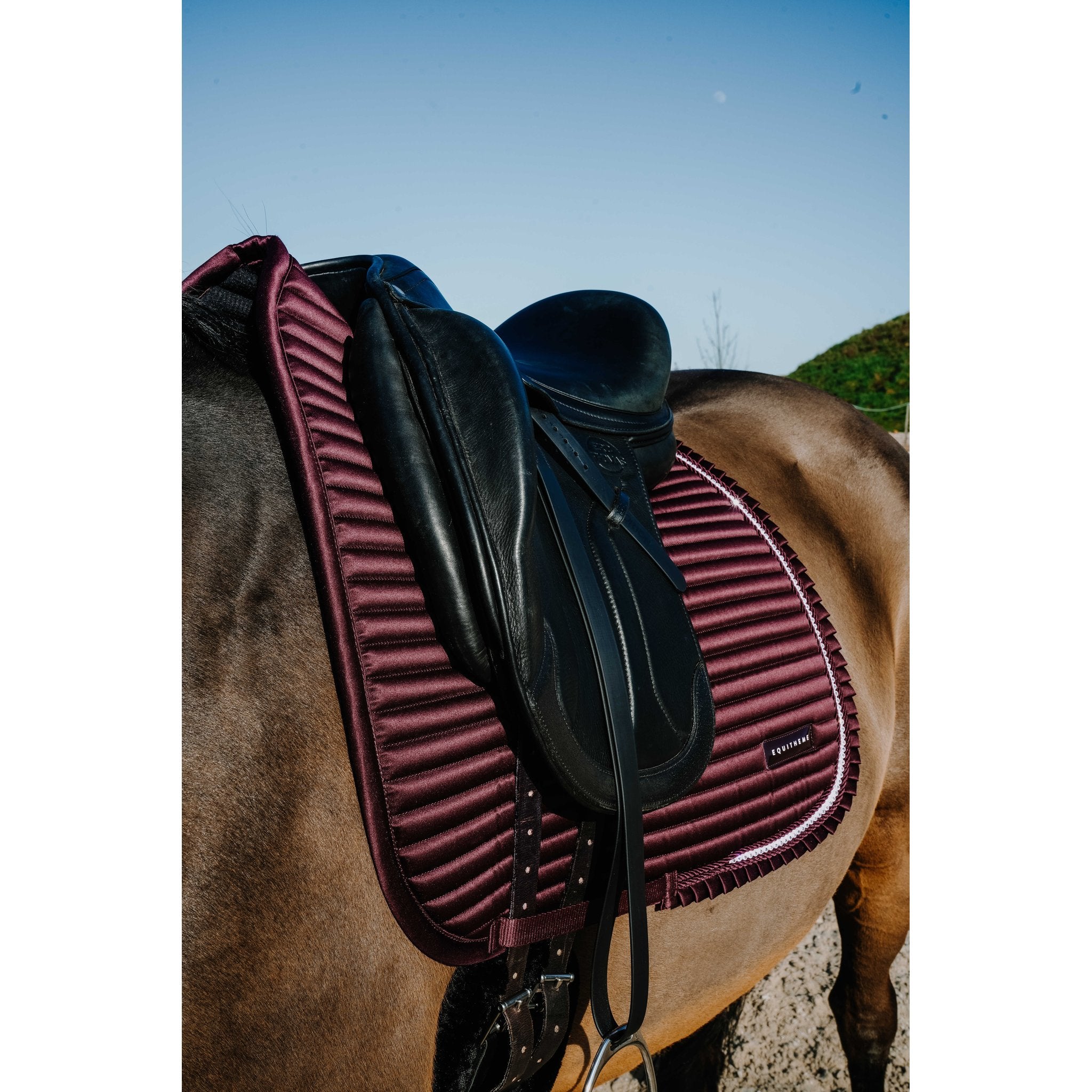 Equitheme Glam Dressyrschabrak