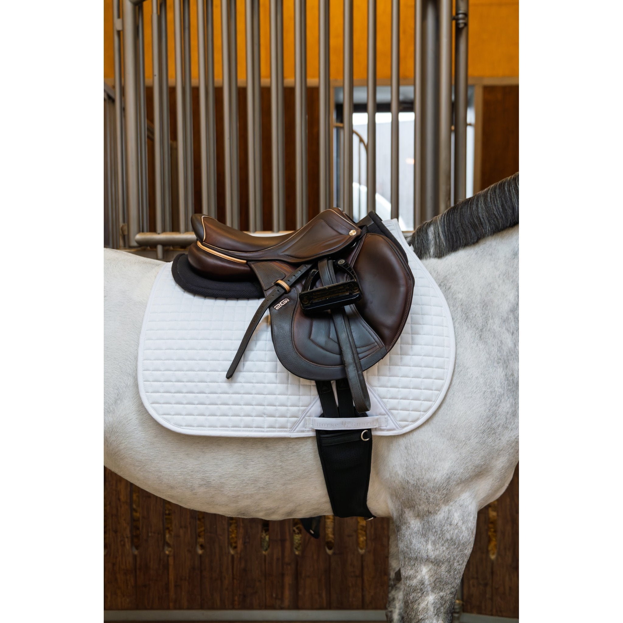 Horse Guard Elmira schabrak, allround