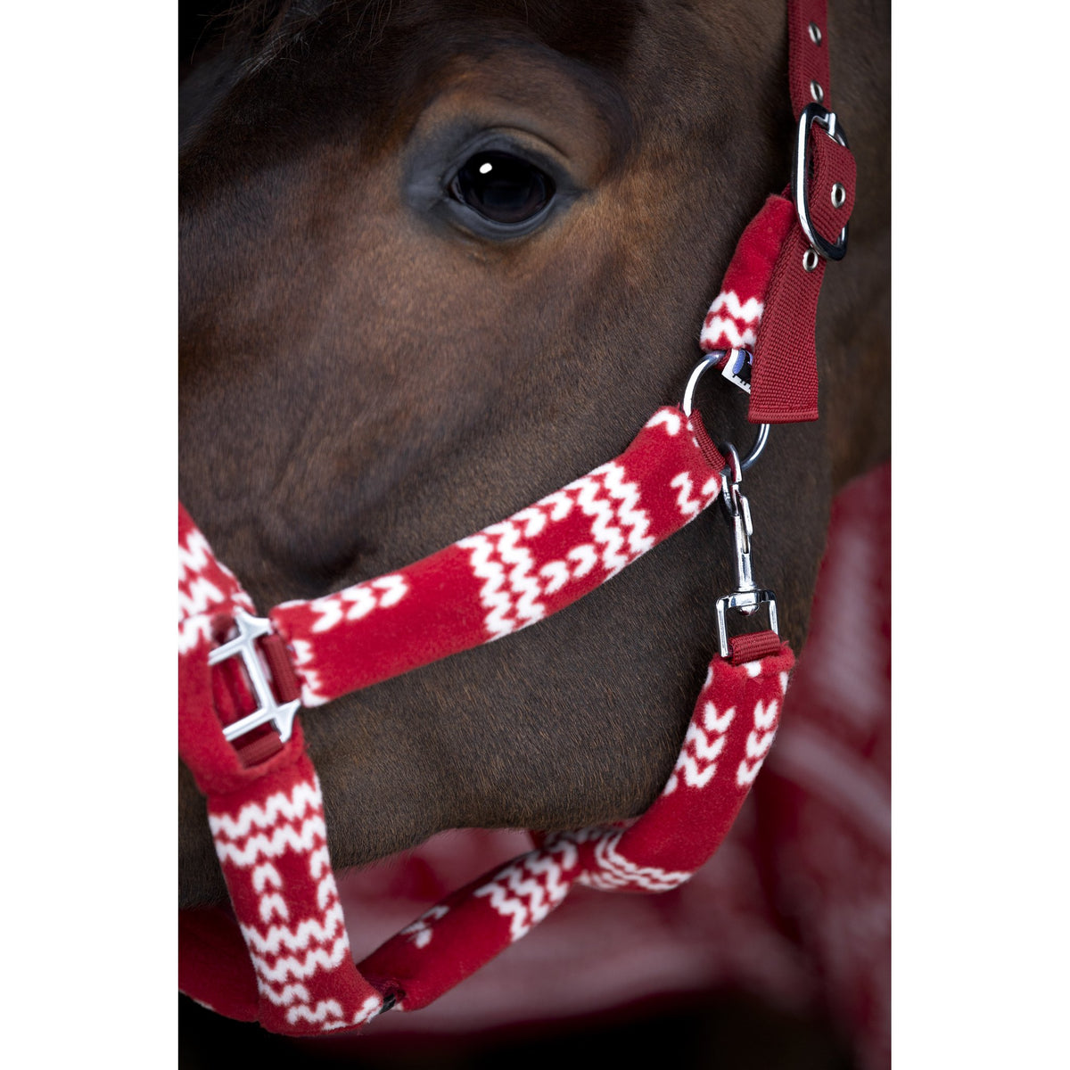 Horse Guard Christmas grimma