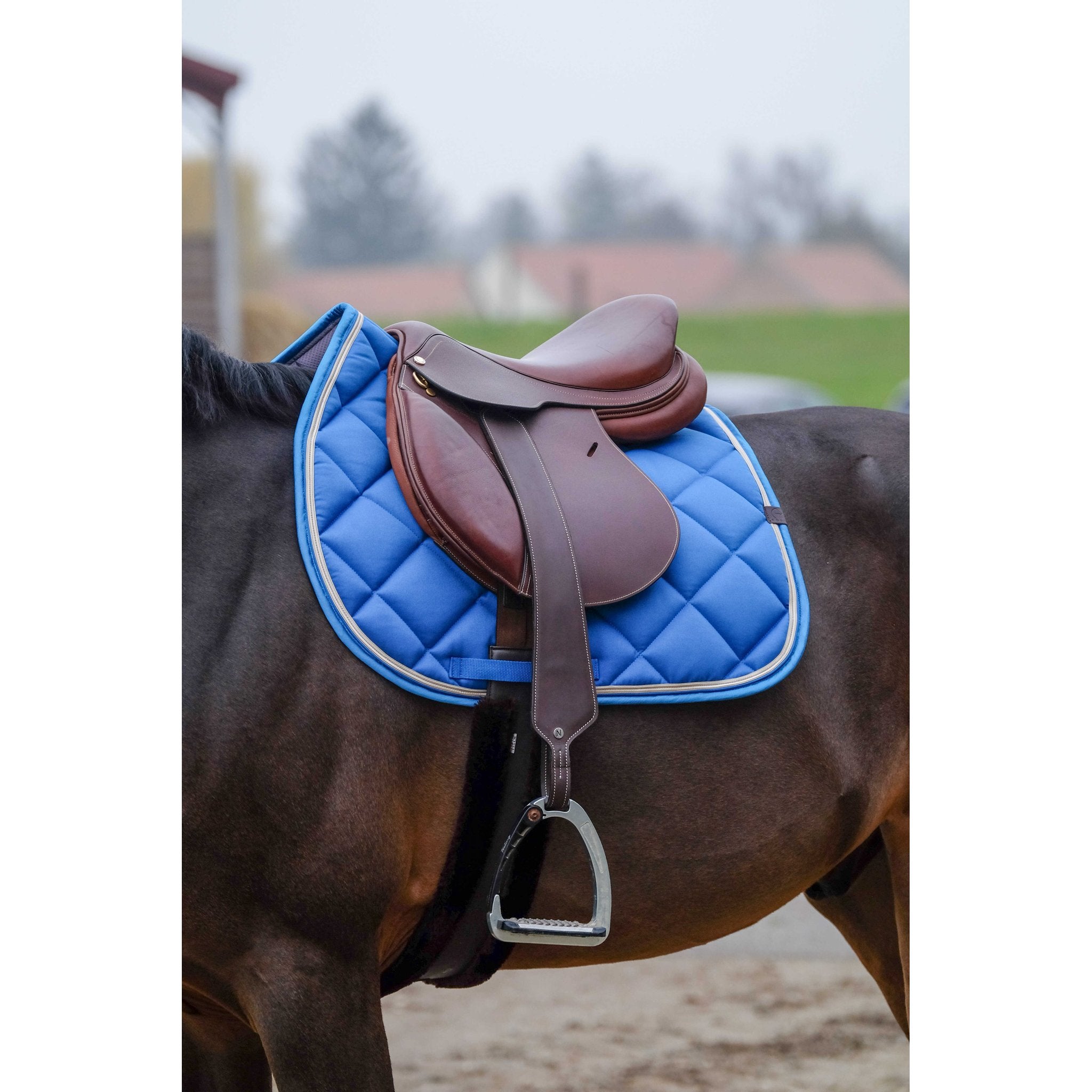 Equithème Classic Schabrak