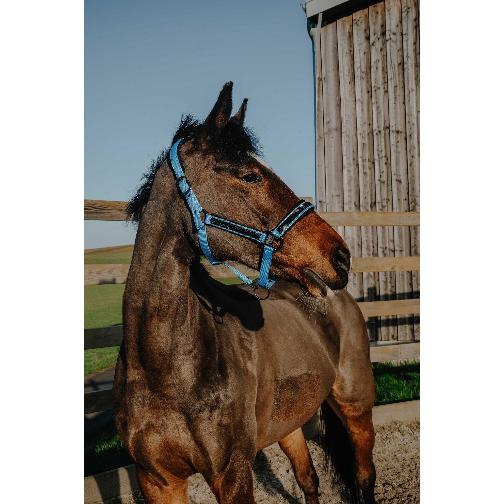 Equitheme Strass grimma