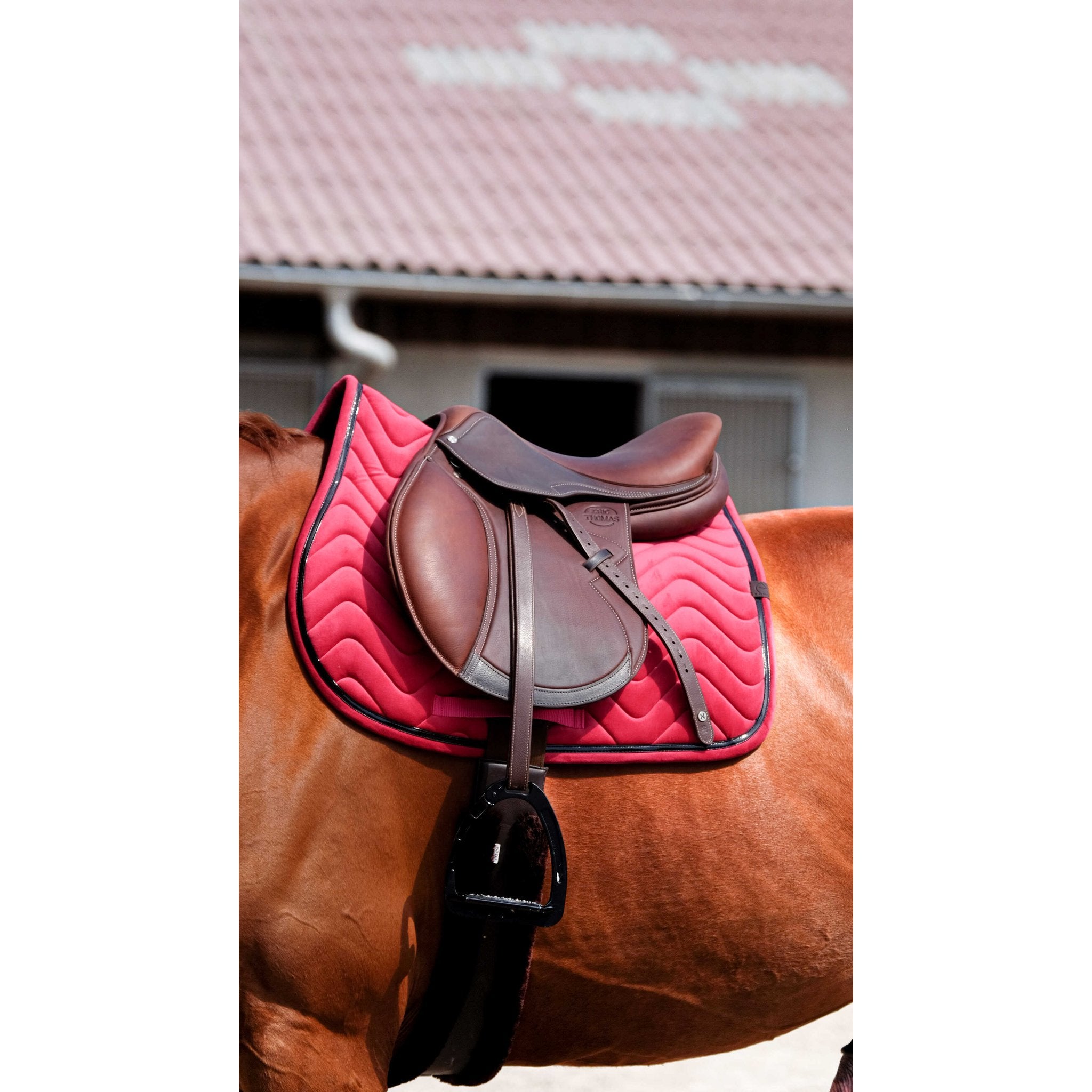 Equithème Glossy Schabrak