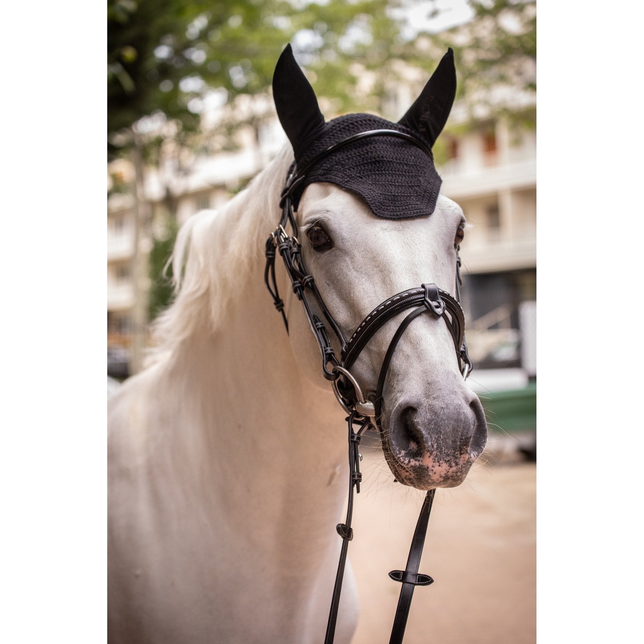 PADDOCK Pro coton luva