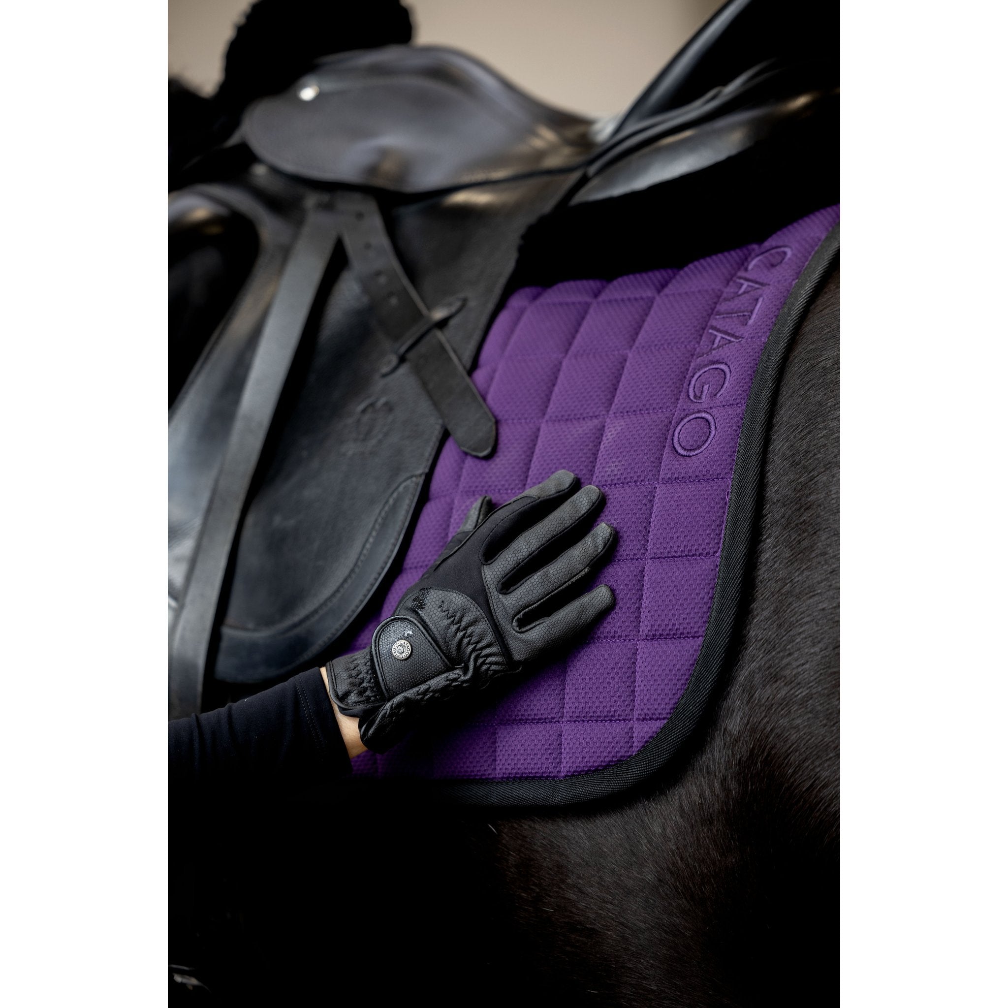 Catago FIR-Tech dressyrschabrak