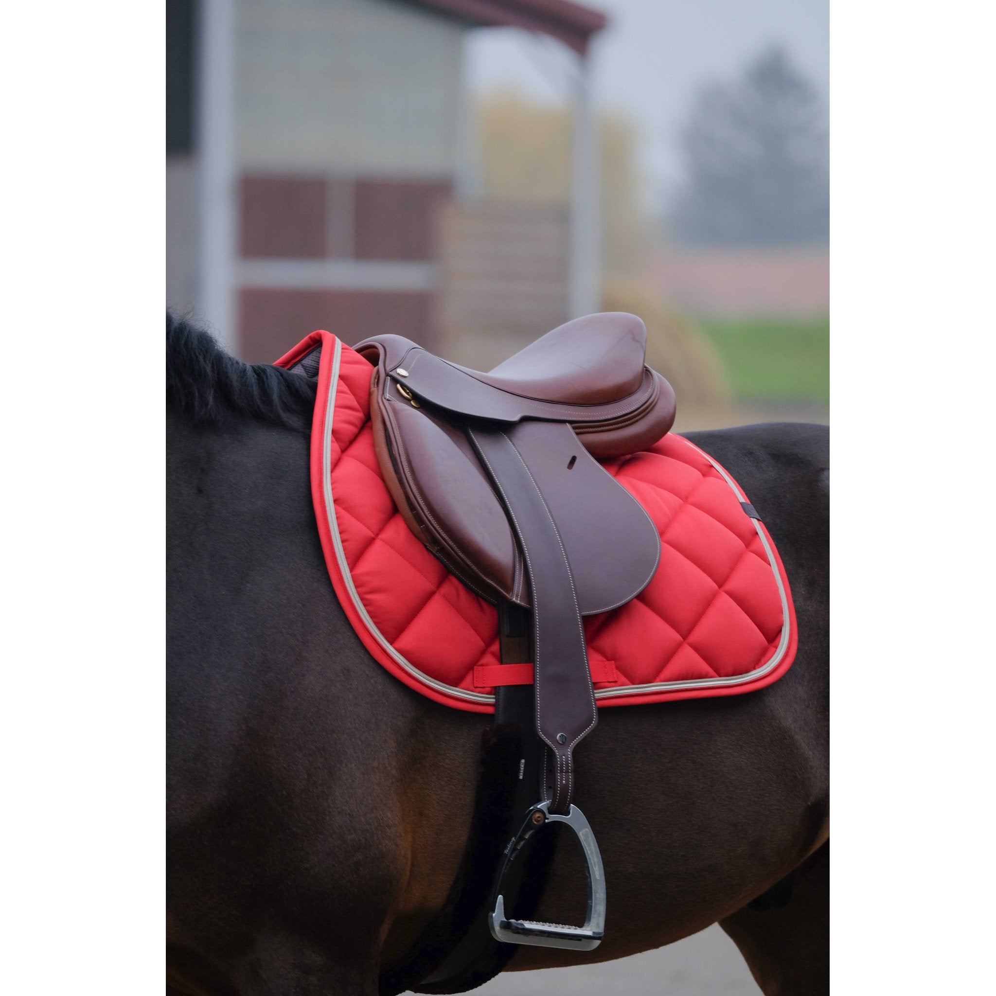 Equithème Classic Schabrak