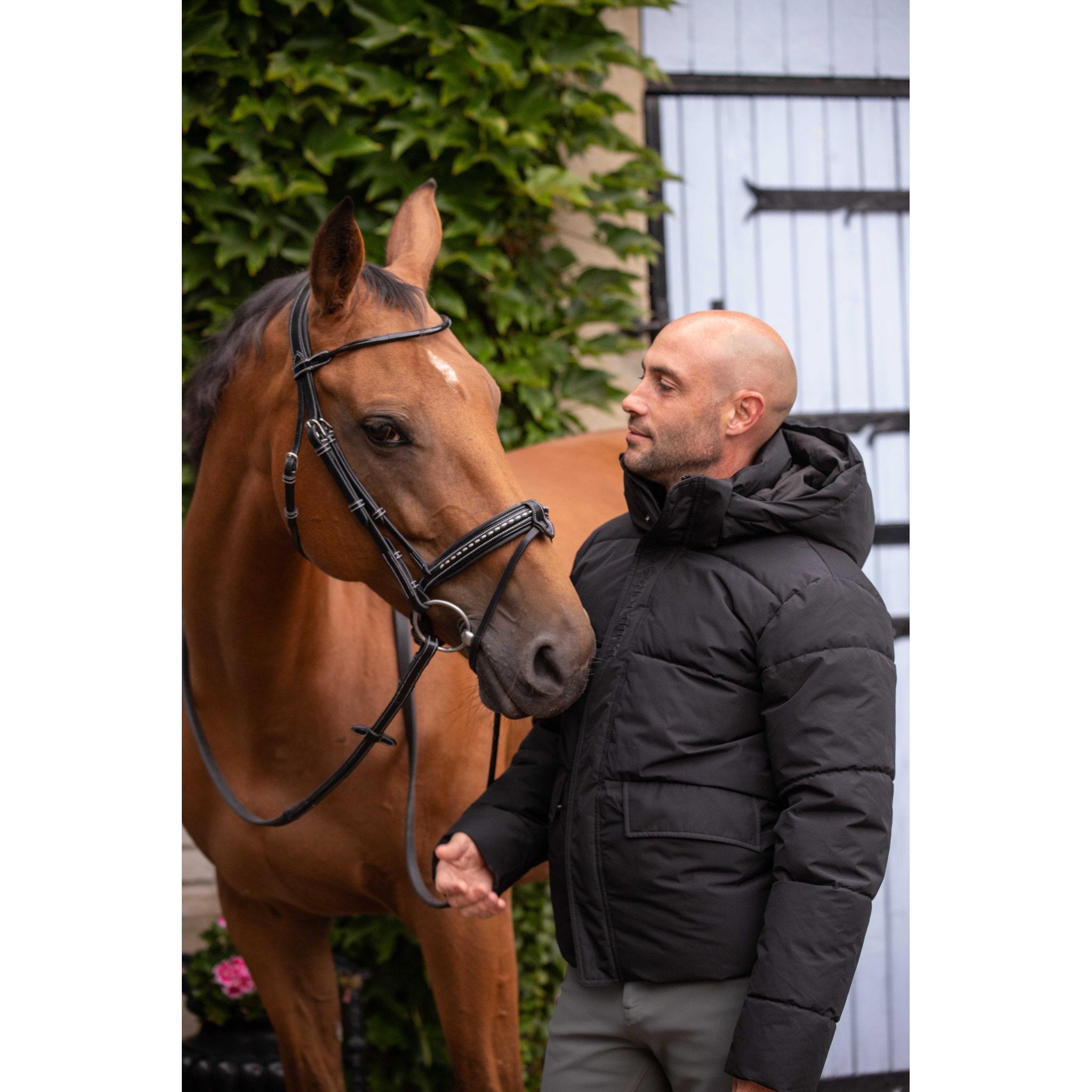 PADDOCK Auteuil Vadderad Jacka