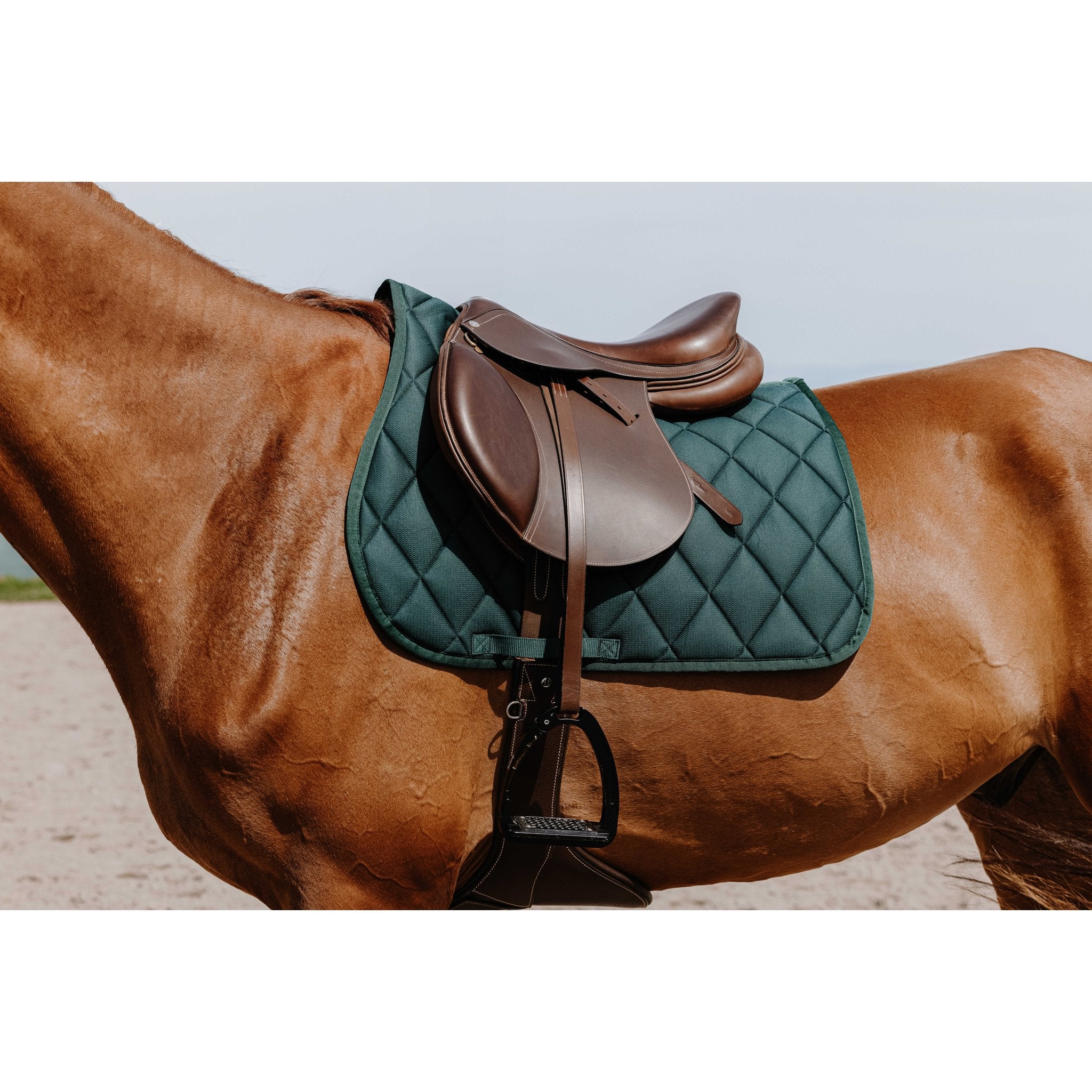 RIDING WORLD School Hoppschabrak