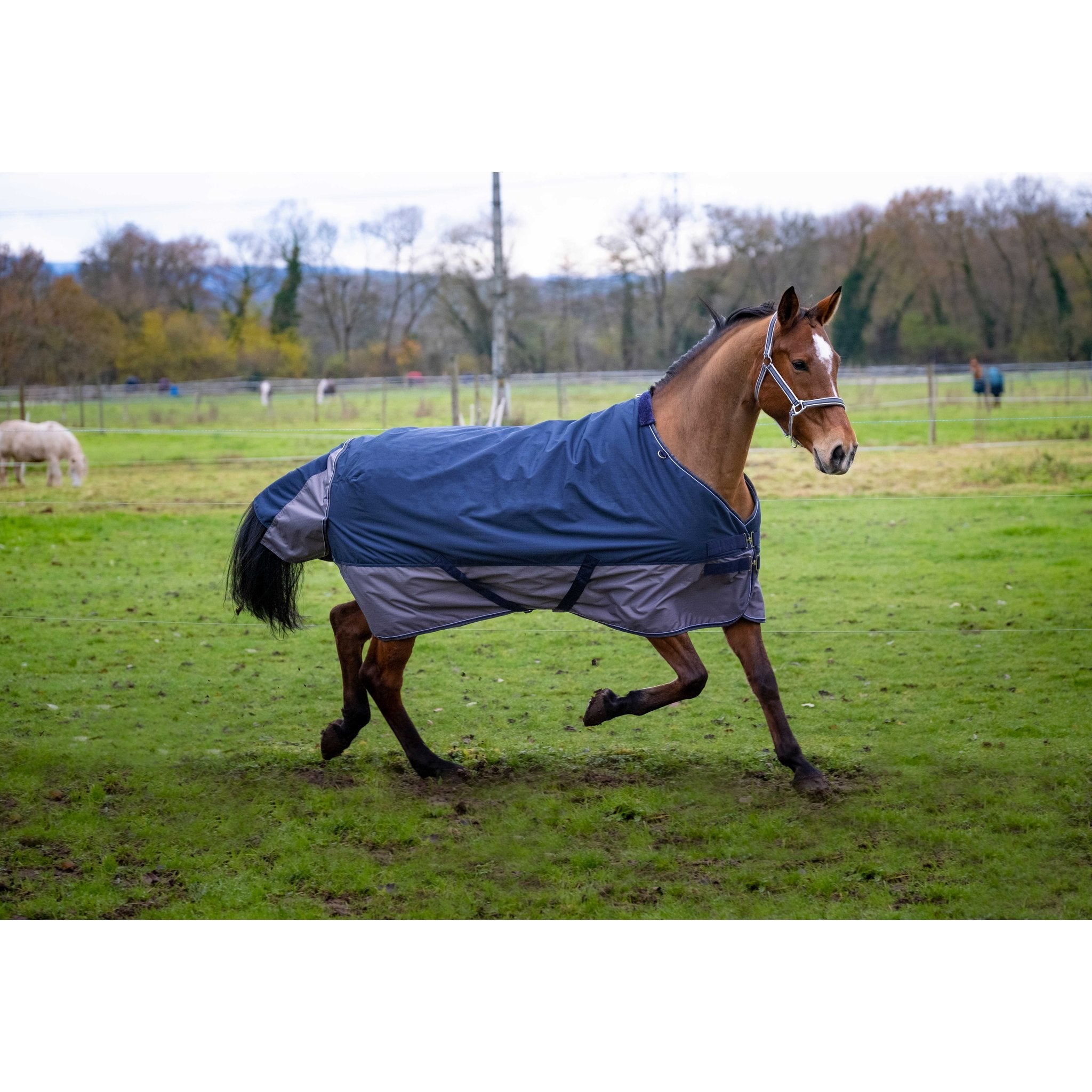 Equithème TYREX 600D Turnout täcke 300 g