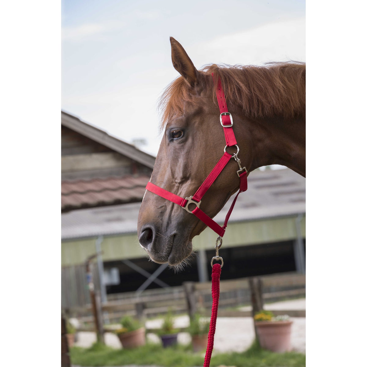 Riding World set grimma + grimskaft
