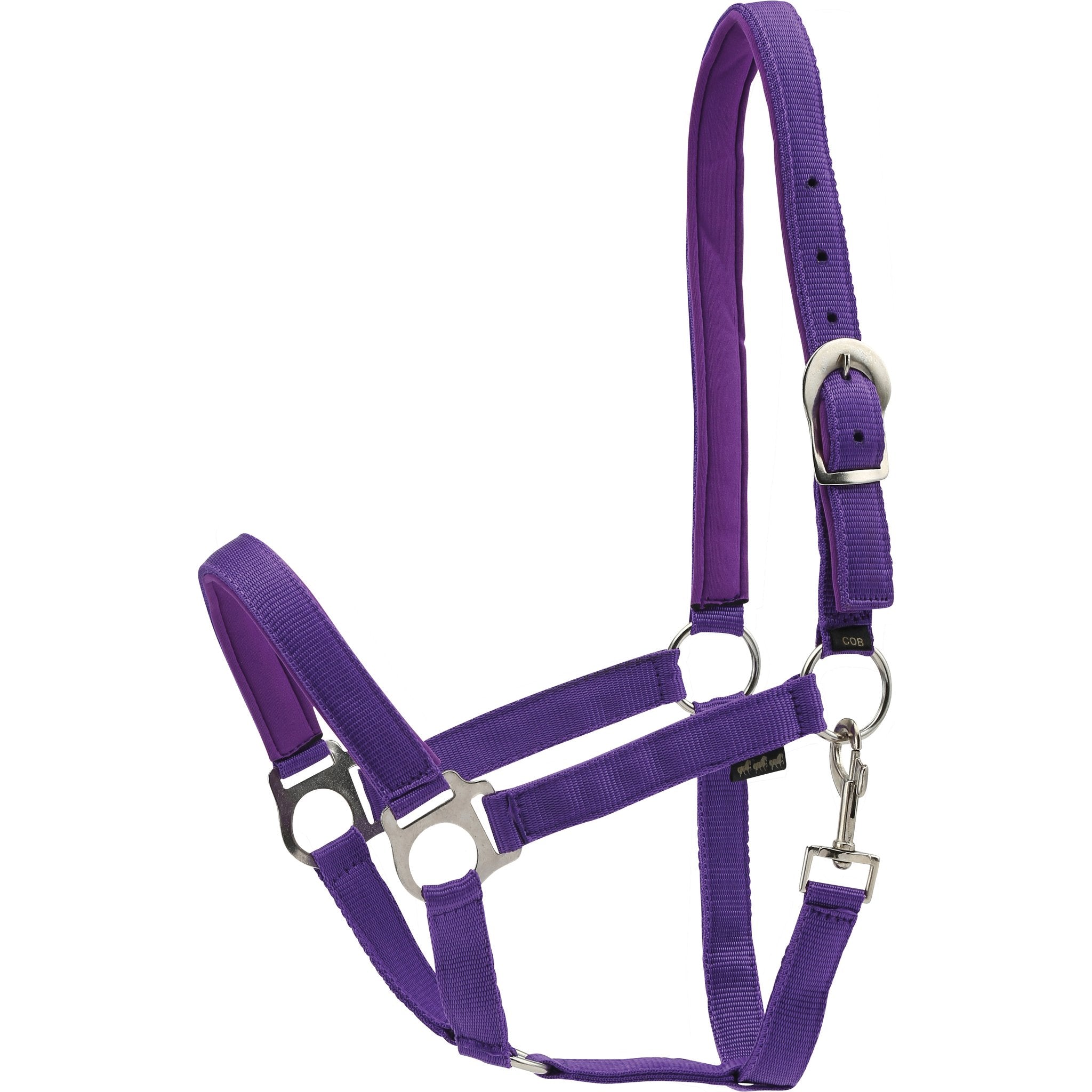 HorseGuard Nylongrimma lila