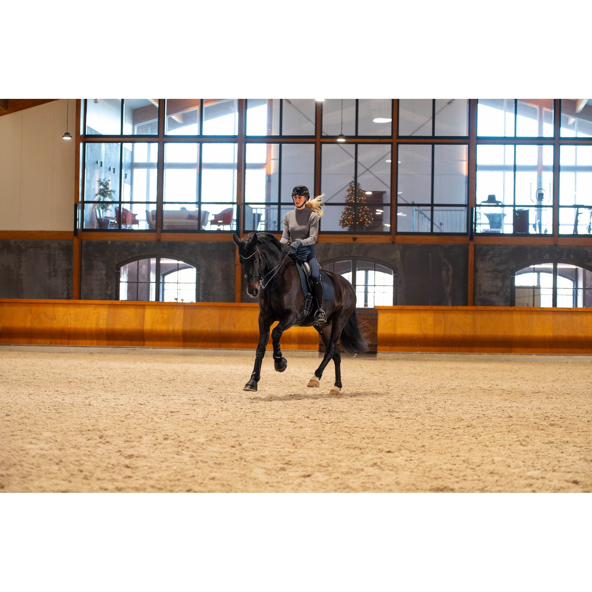 CATAGO FIR-Tech Performance schabrak Dressyr