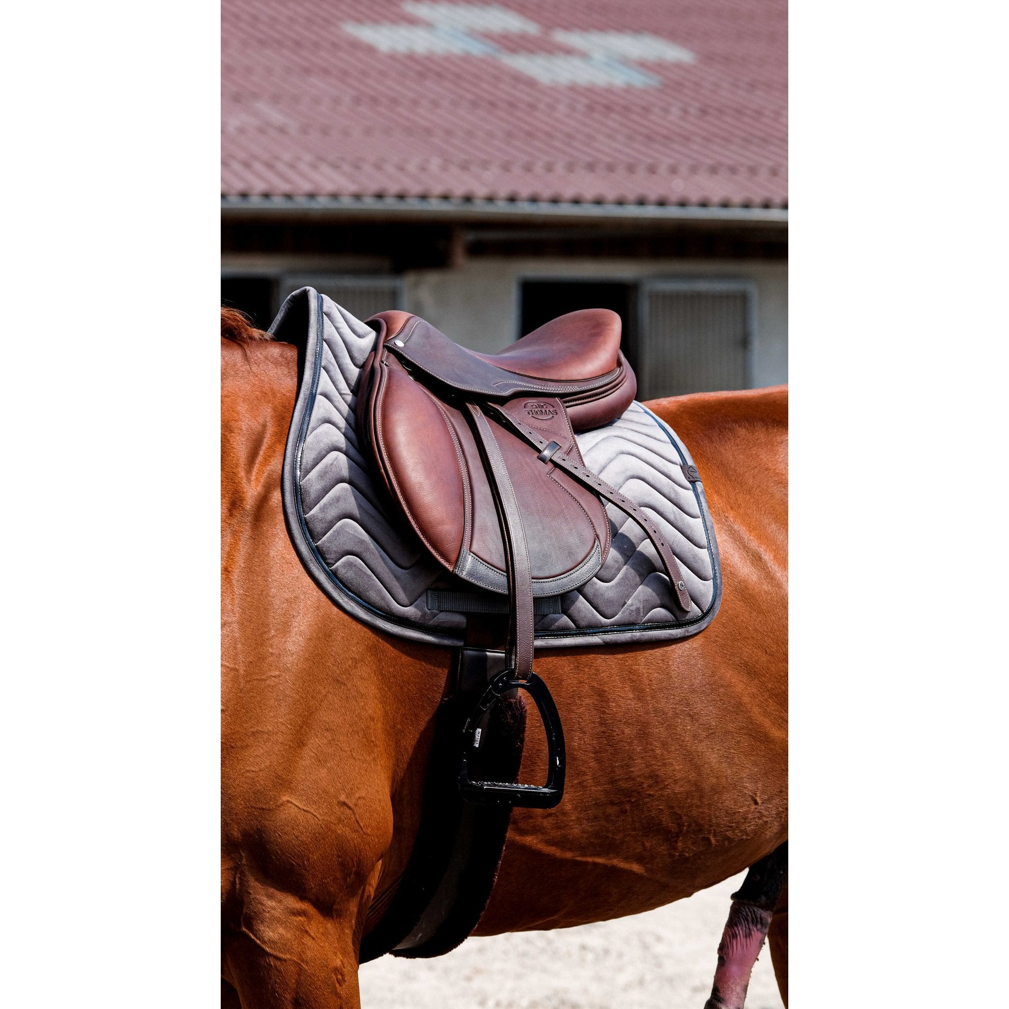 Equithème Glossy Schabrak
