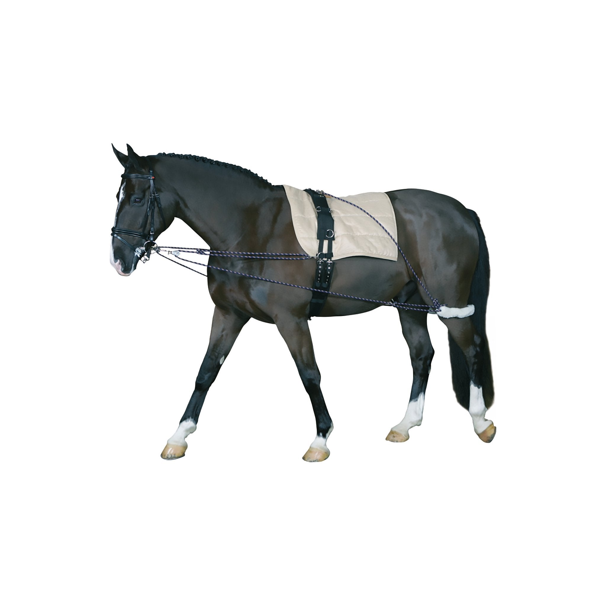 HorseGuard Longersystem
