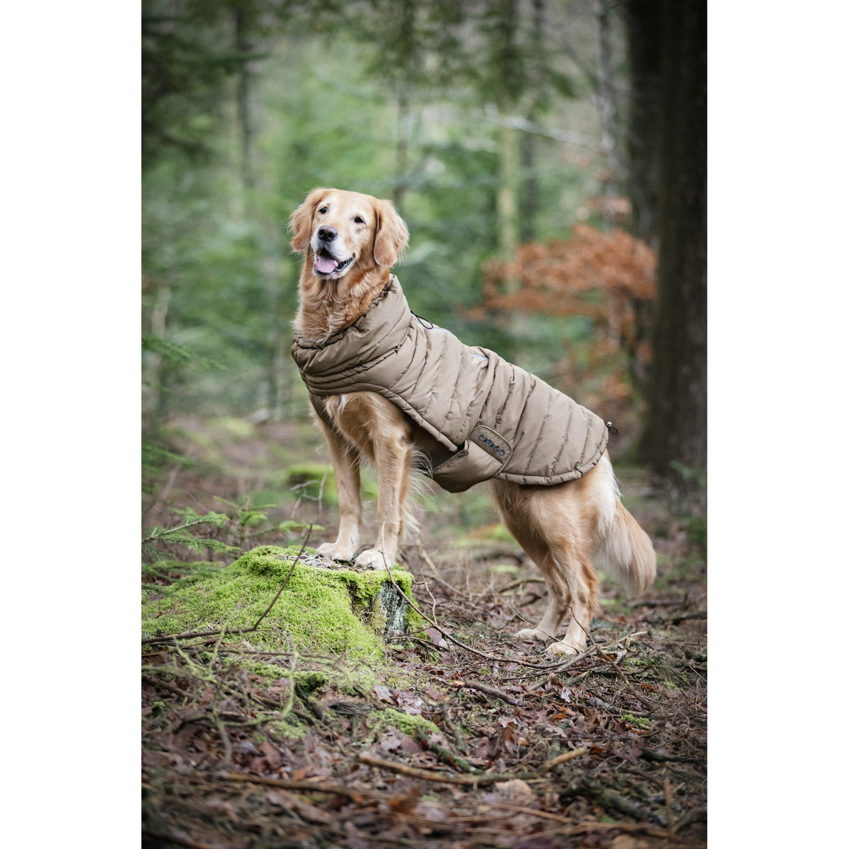 CATAGO FIR-Tech puffer hundtäcke