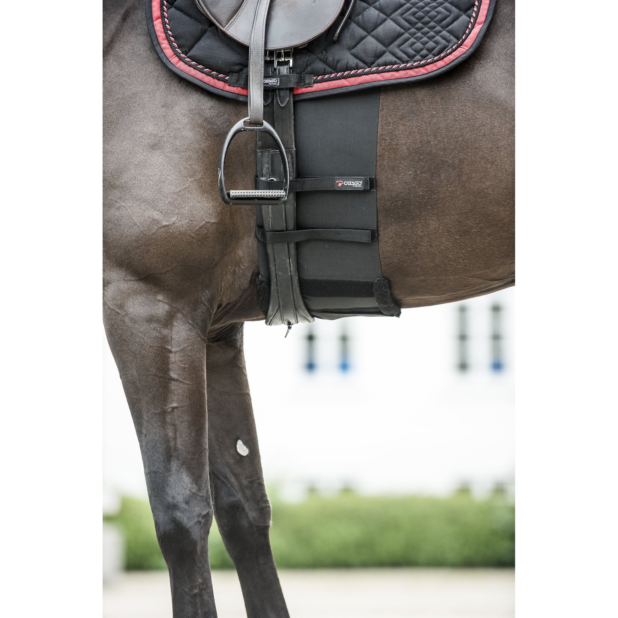CATAGO Body shield sporrskydd