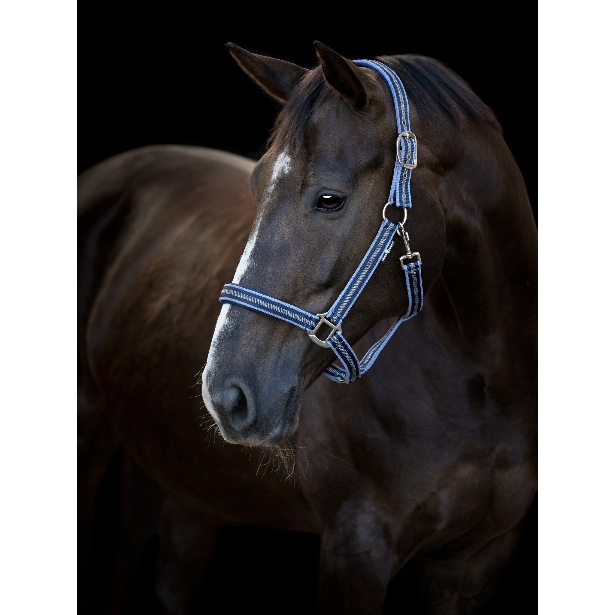 HorseGuard Taro grimma