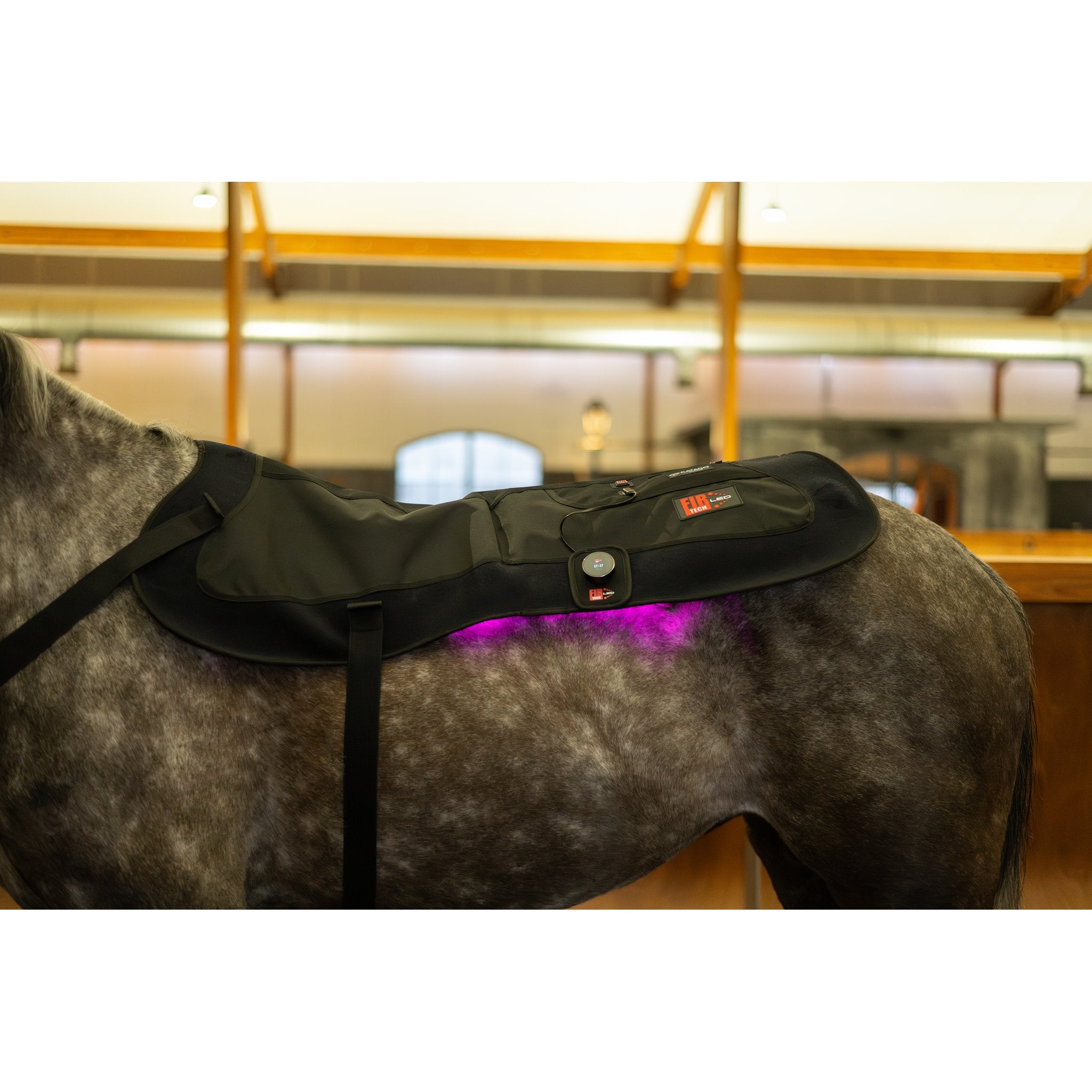 CATAGO FIR-Tech LED Therapy Pad