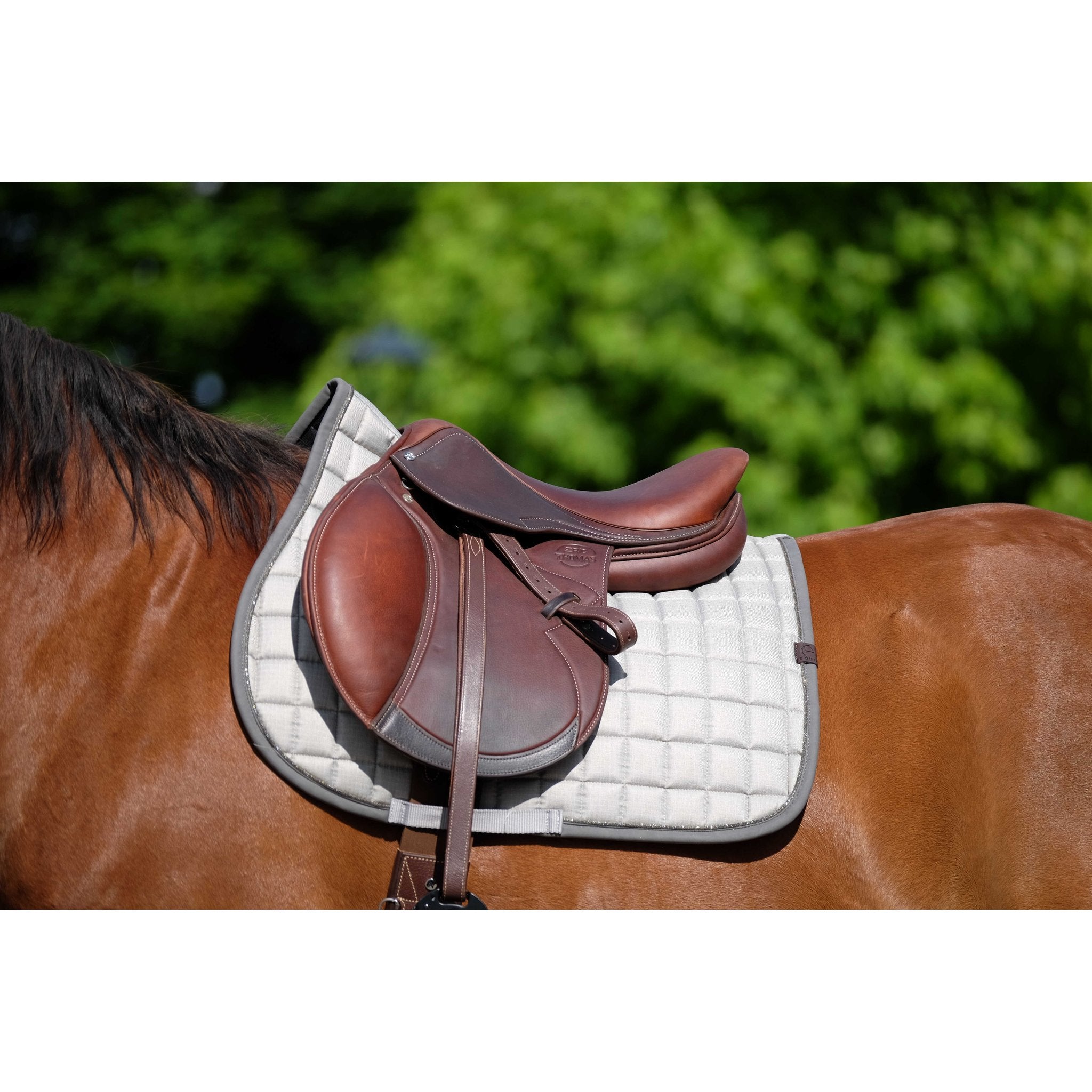 Equithème Chic Schabrak