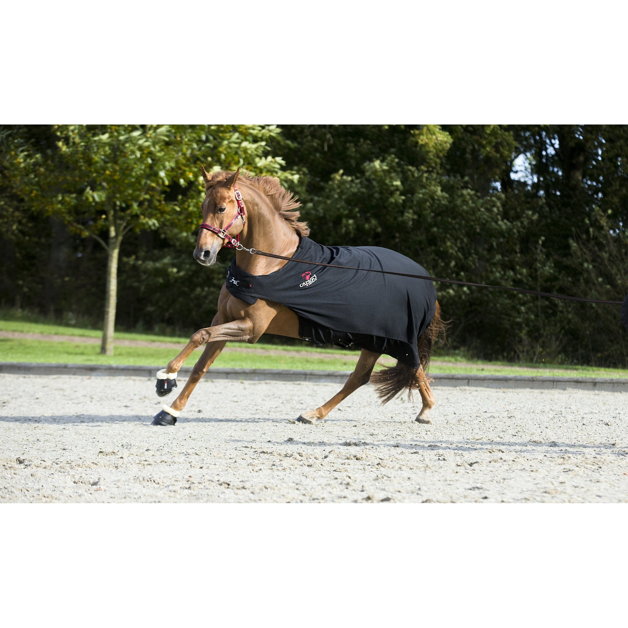CATAGO Merino bell boots