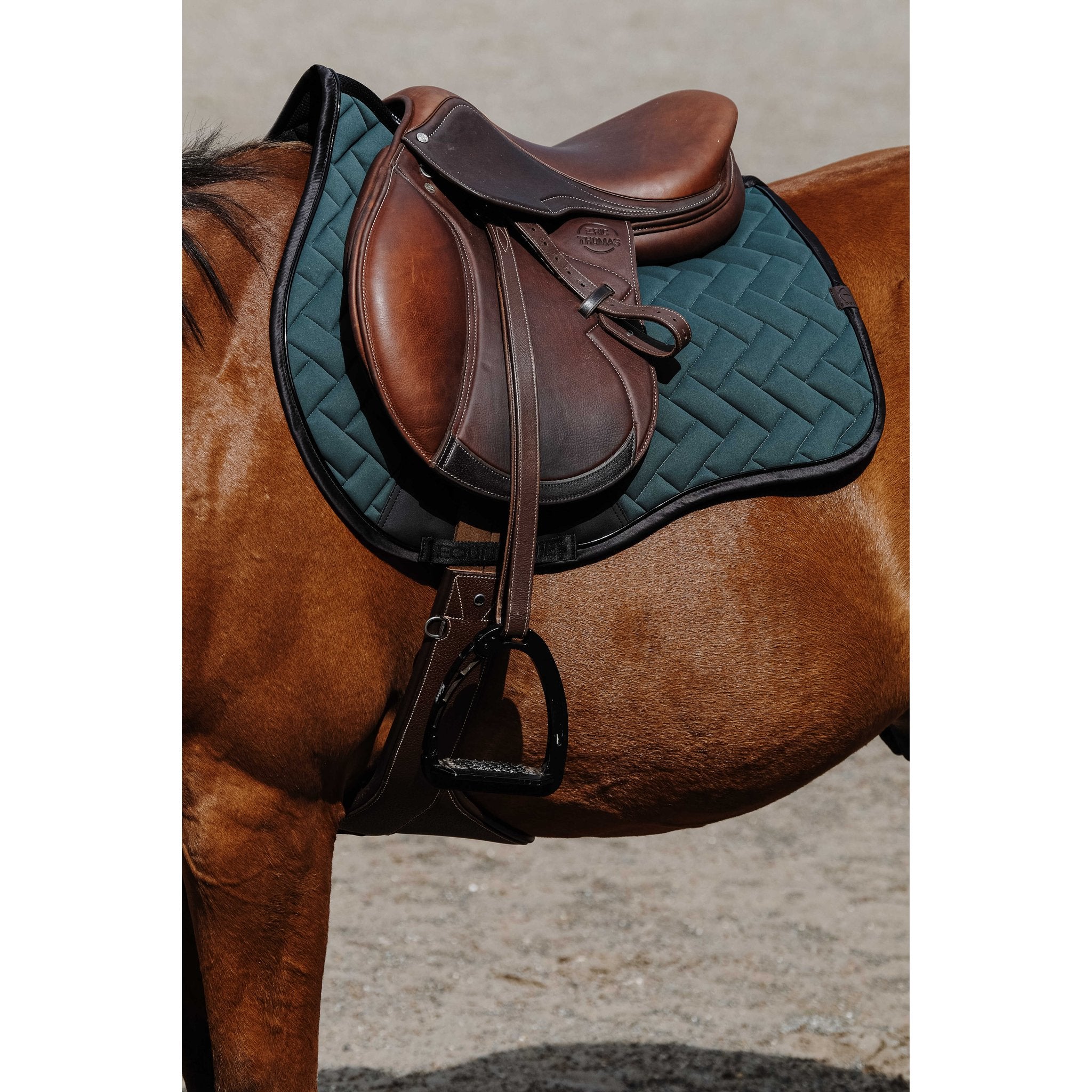 Equithème Impulsion Schabrak