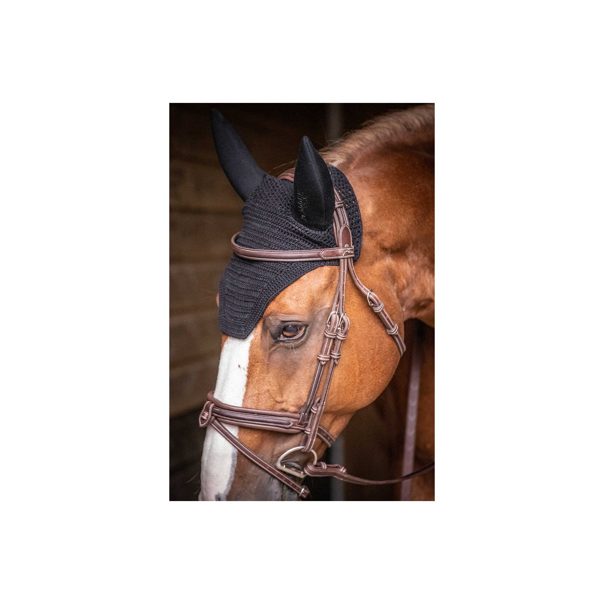 PADDOCK Soundless luva