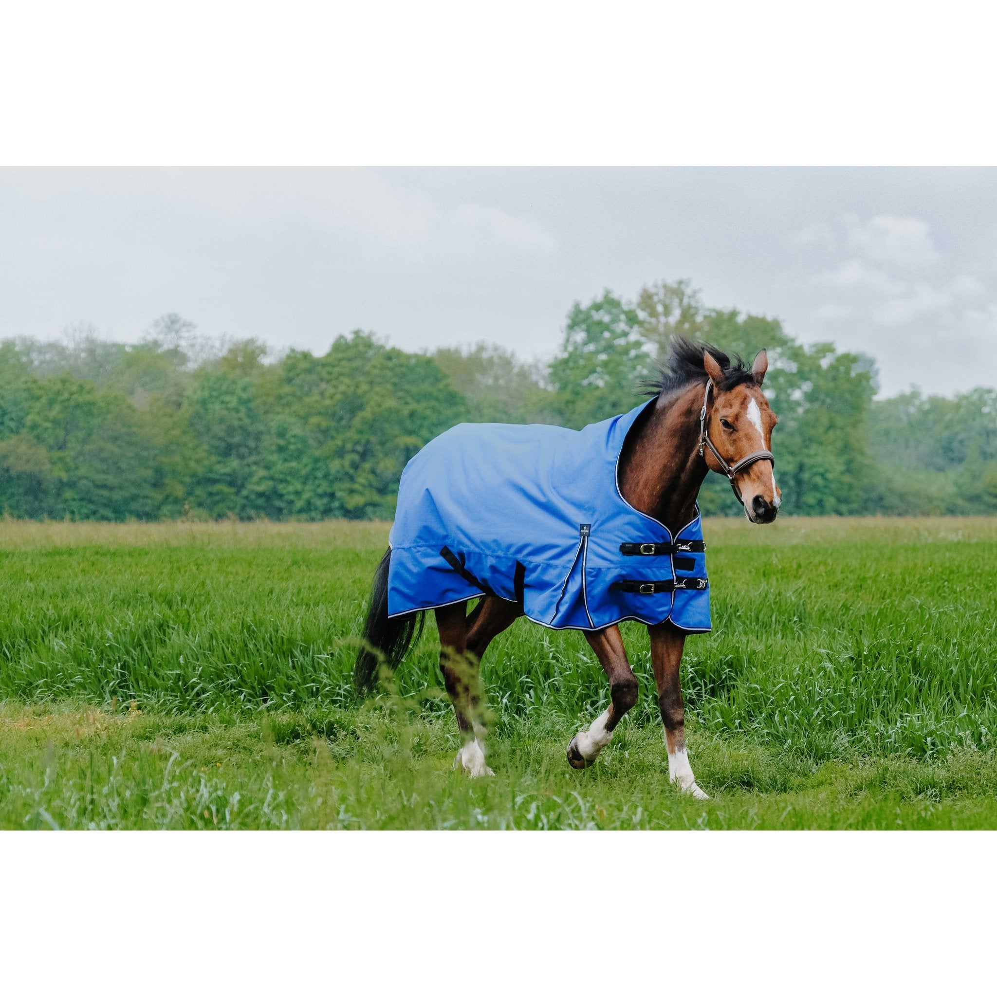 Equithème TYREX Aisance 1200D hög hals täcke 300 g