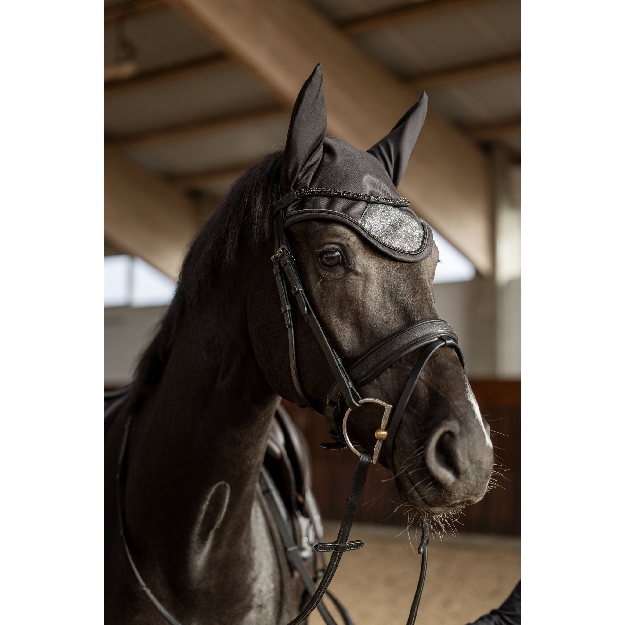 Horse Guard Cryll 26.2 träns med pull-back och kombinerat nosgrimma