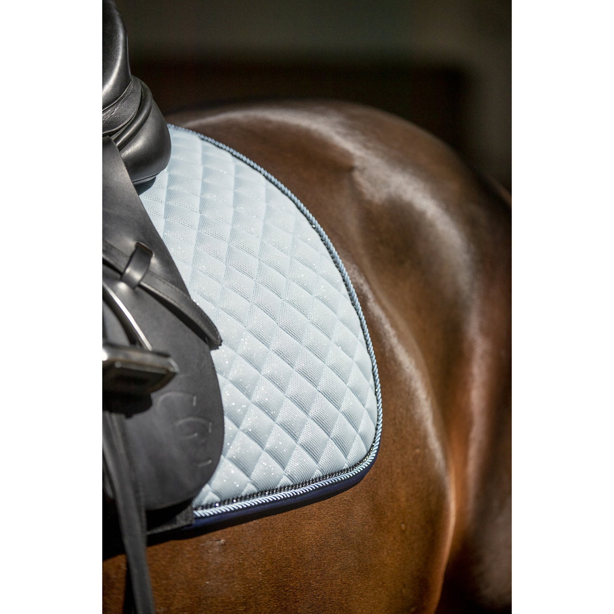HorseGuard Milva Schabrak