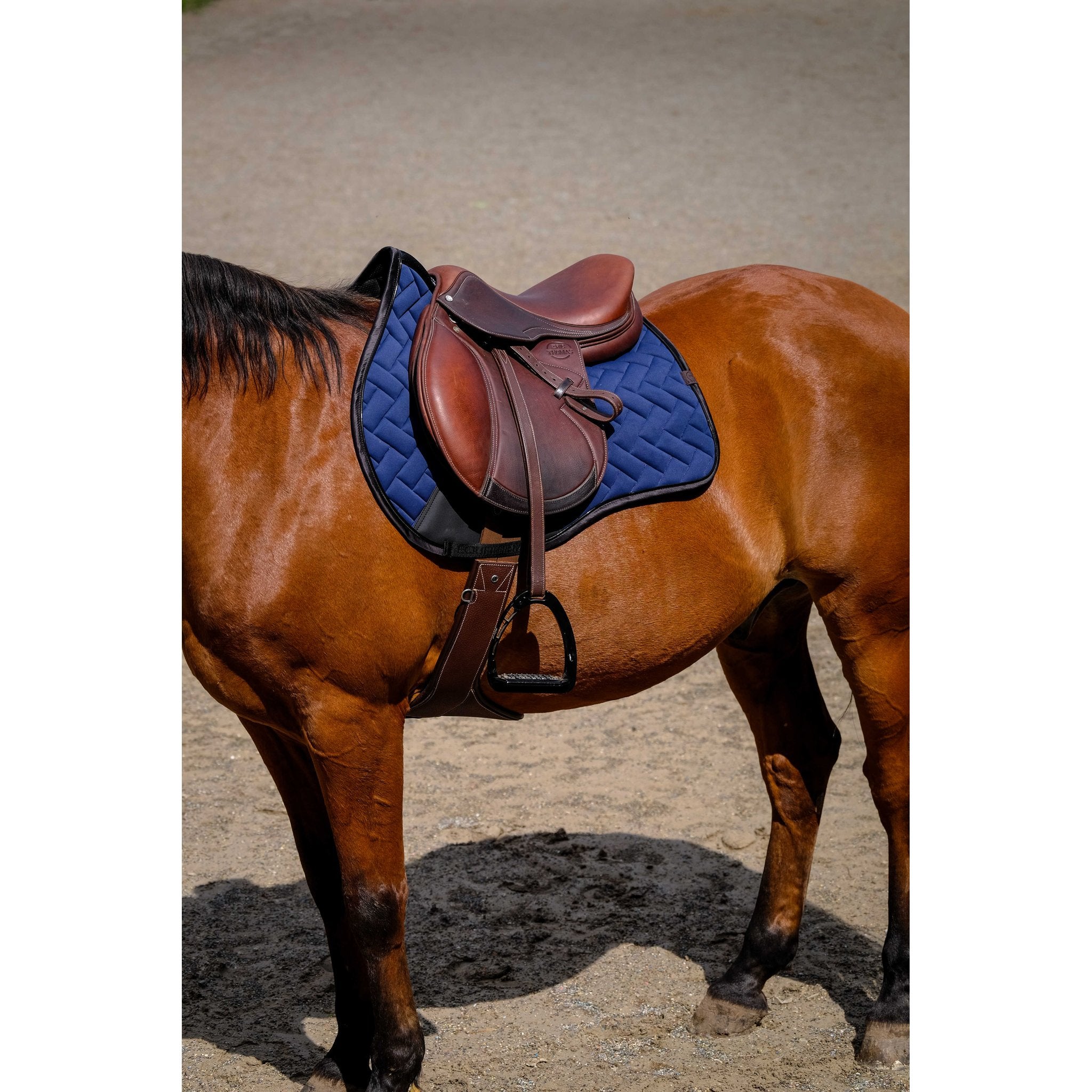 Equithème Impulsion Schabrak