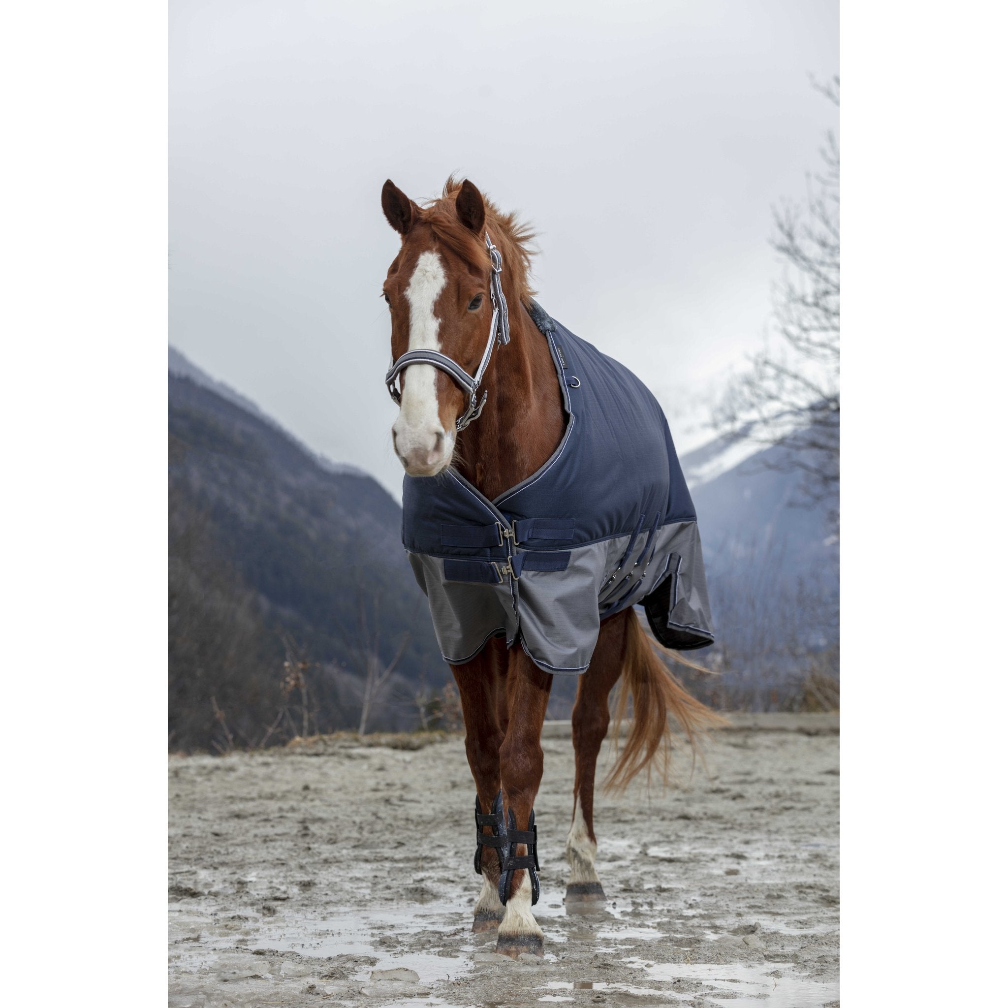 Equithème TYREX 600D Turnout täcke med magskydd 300 g