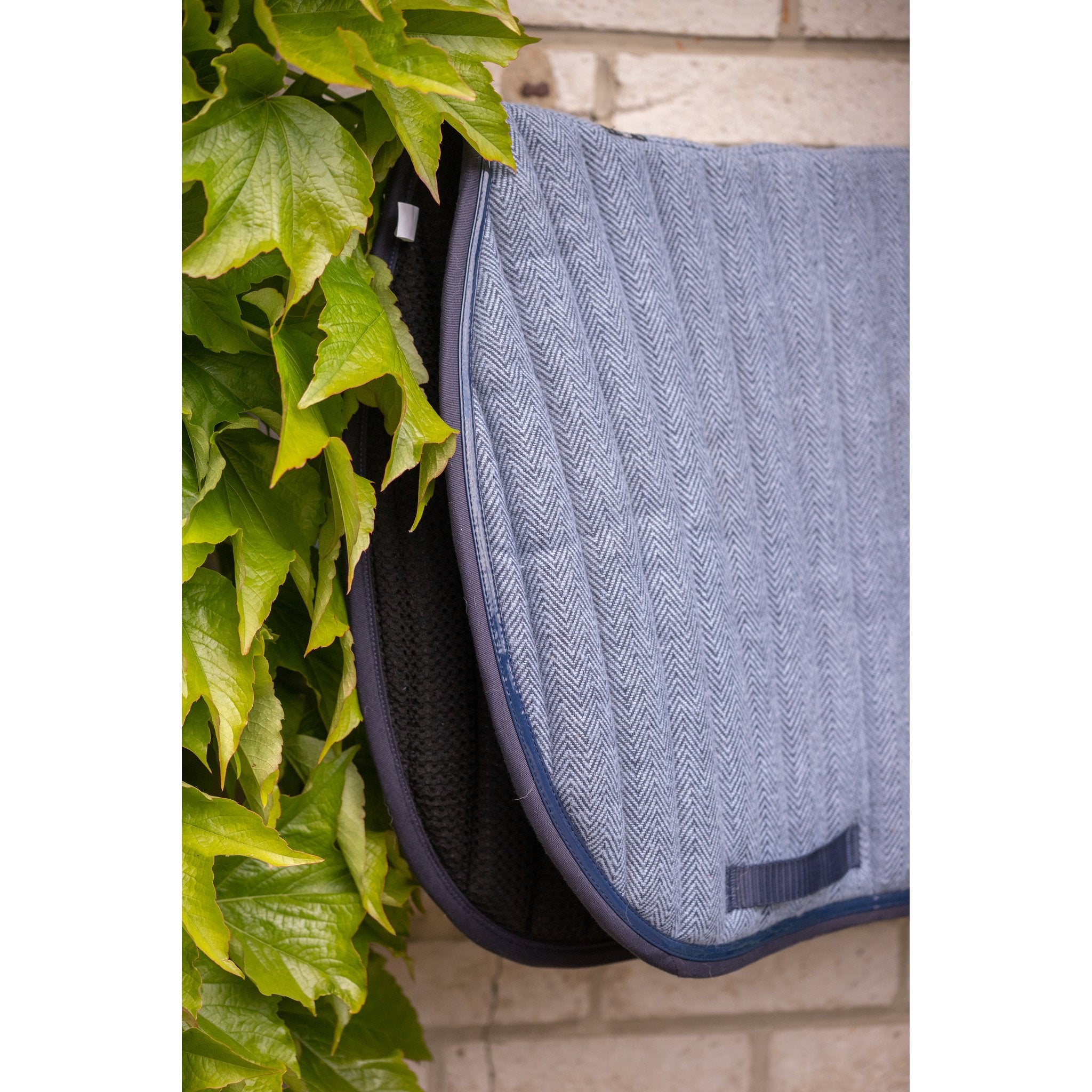 PADDOCK Wooltouch schabrak