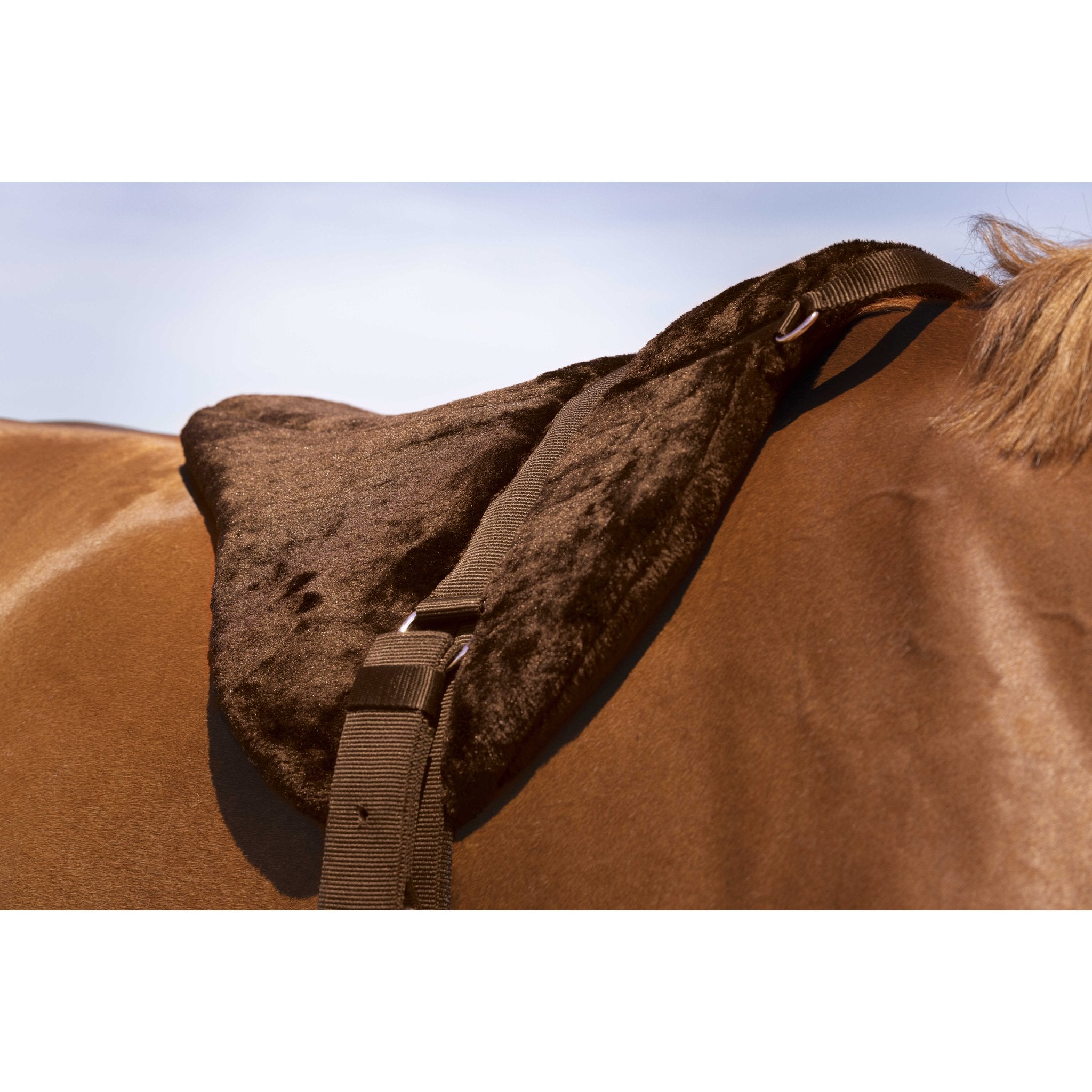 Norton barbackapadd Comfort