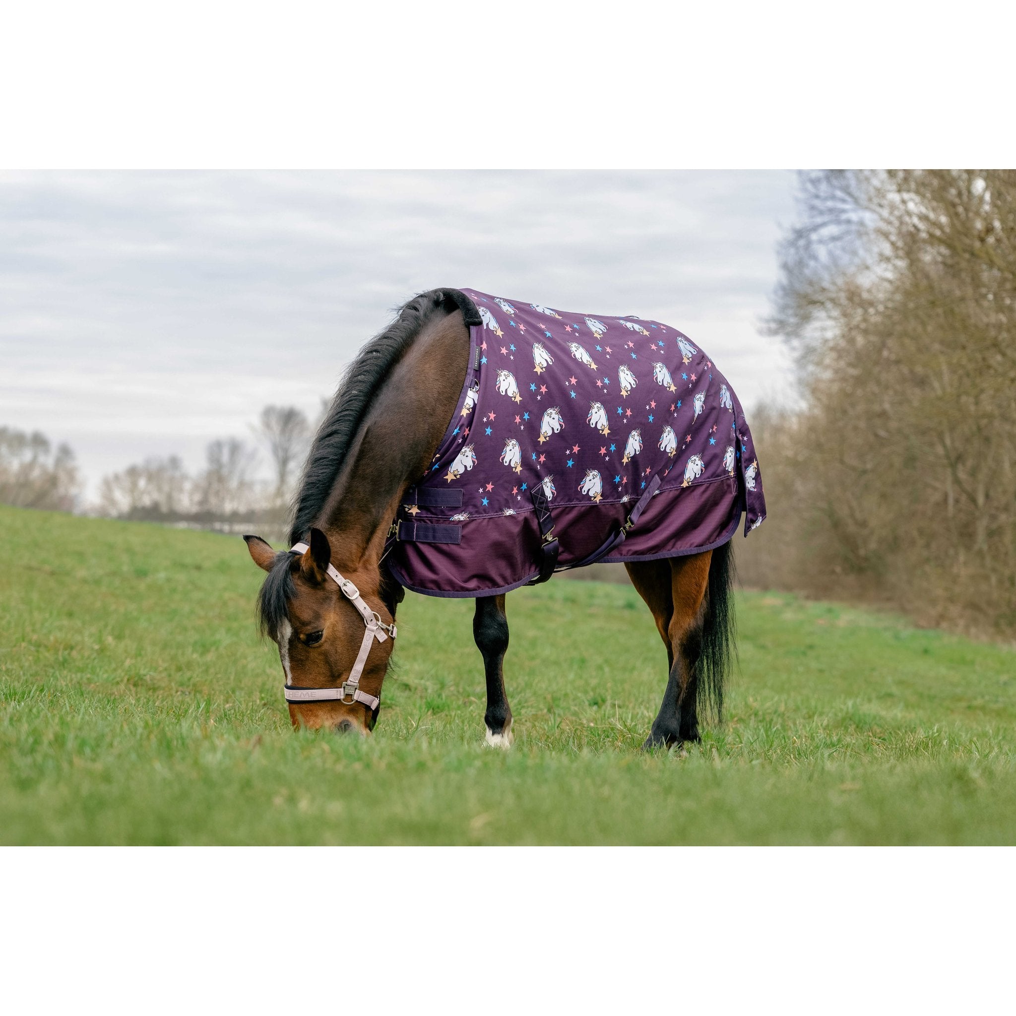 Equitheme Licorne 600D Utetäcke 0g